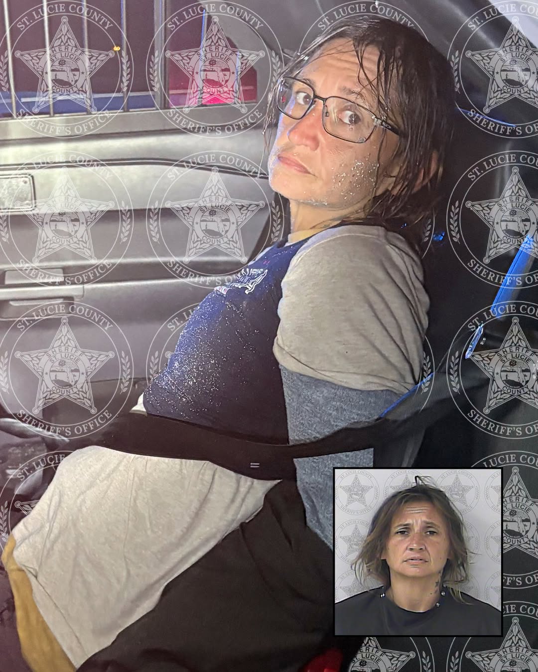 Shannon Marie Dillon, 42, allegedly stole a Broward Sheriff’s Office cruiser in Fort Lauderdale and was found wearing a BSO vest after driving it nearly 100 miles north to St. Lucie County (St. Lucie County Sheriff’s Office)