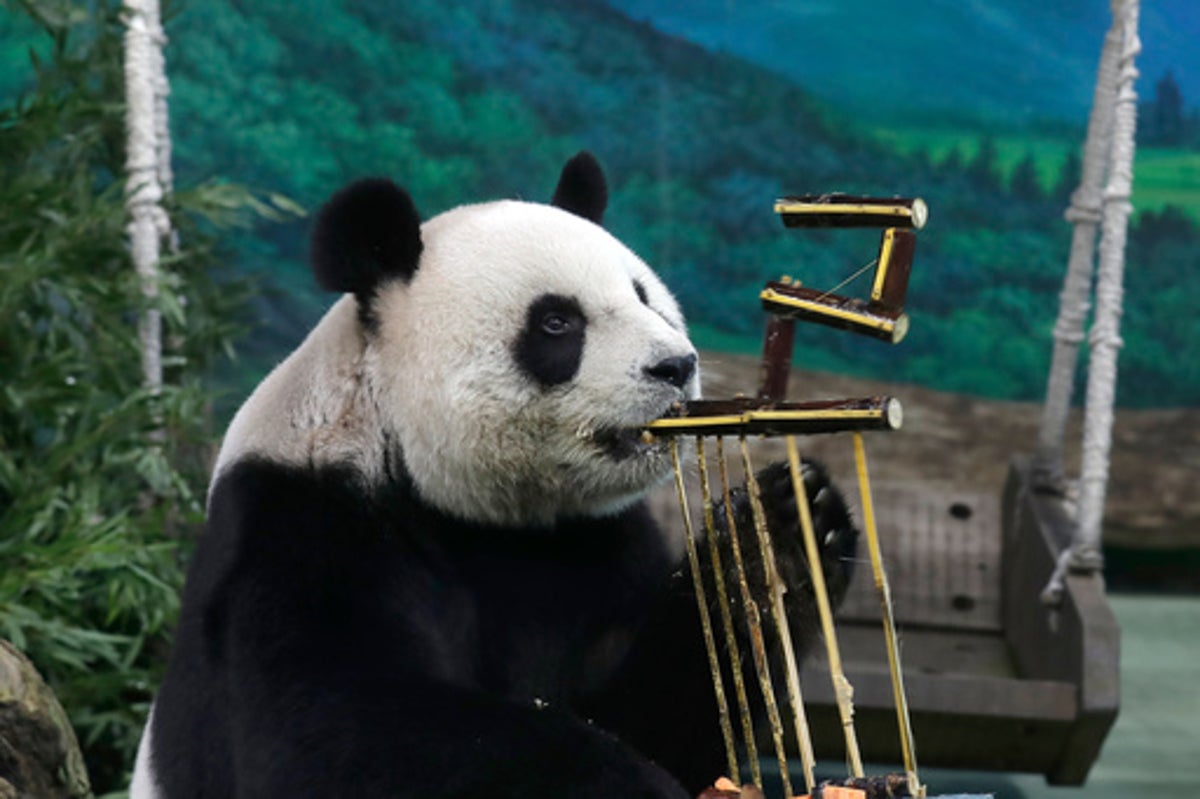 Two giant pandas from China will arrive at Atlanta zoo in coming days, Xi says
