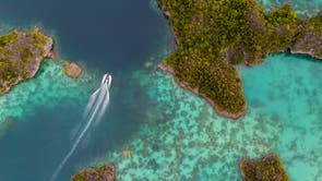 Climate Rainforest Funding