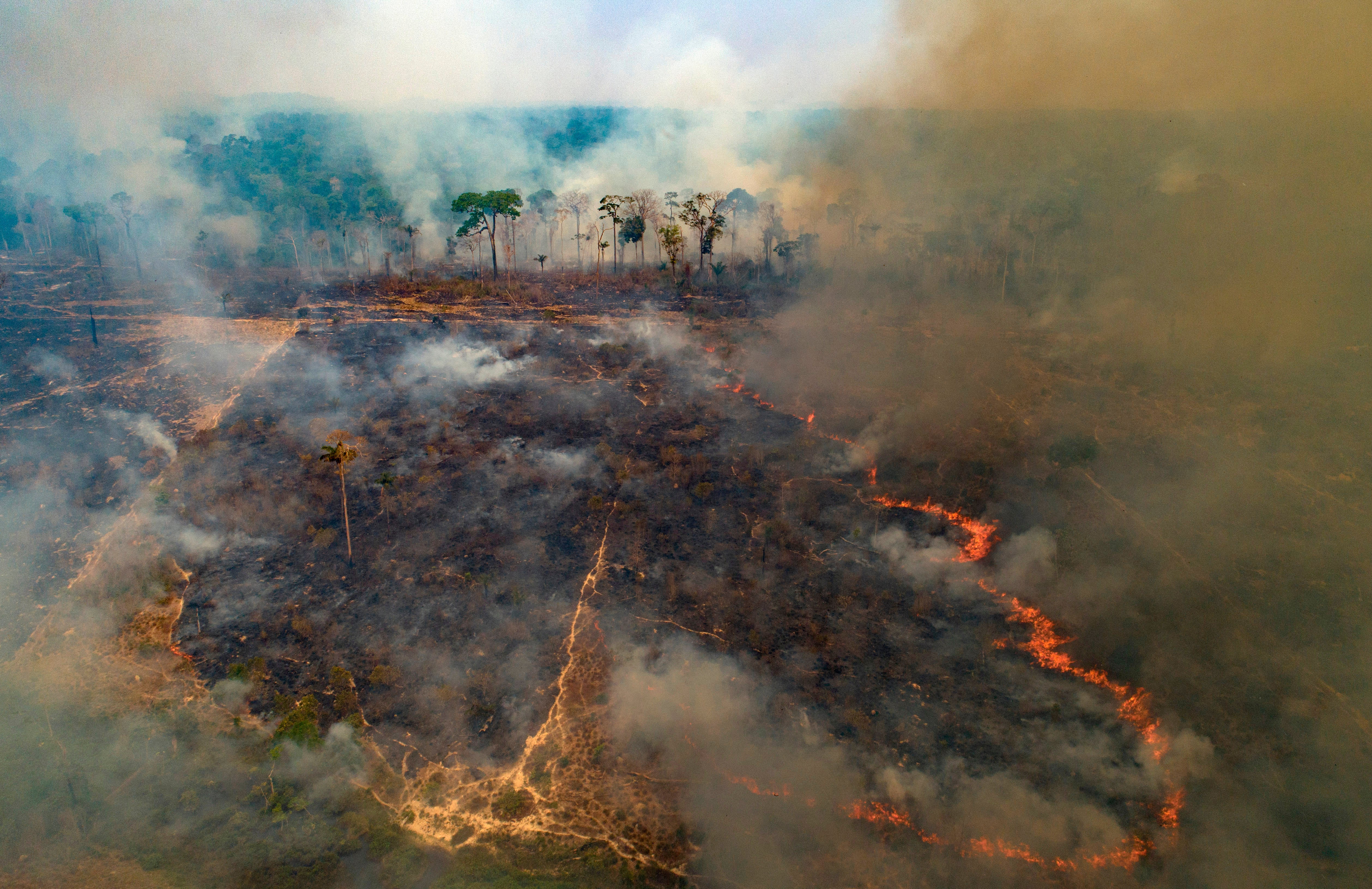 Climate Rainforest Funding