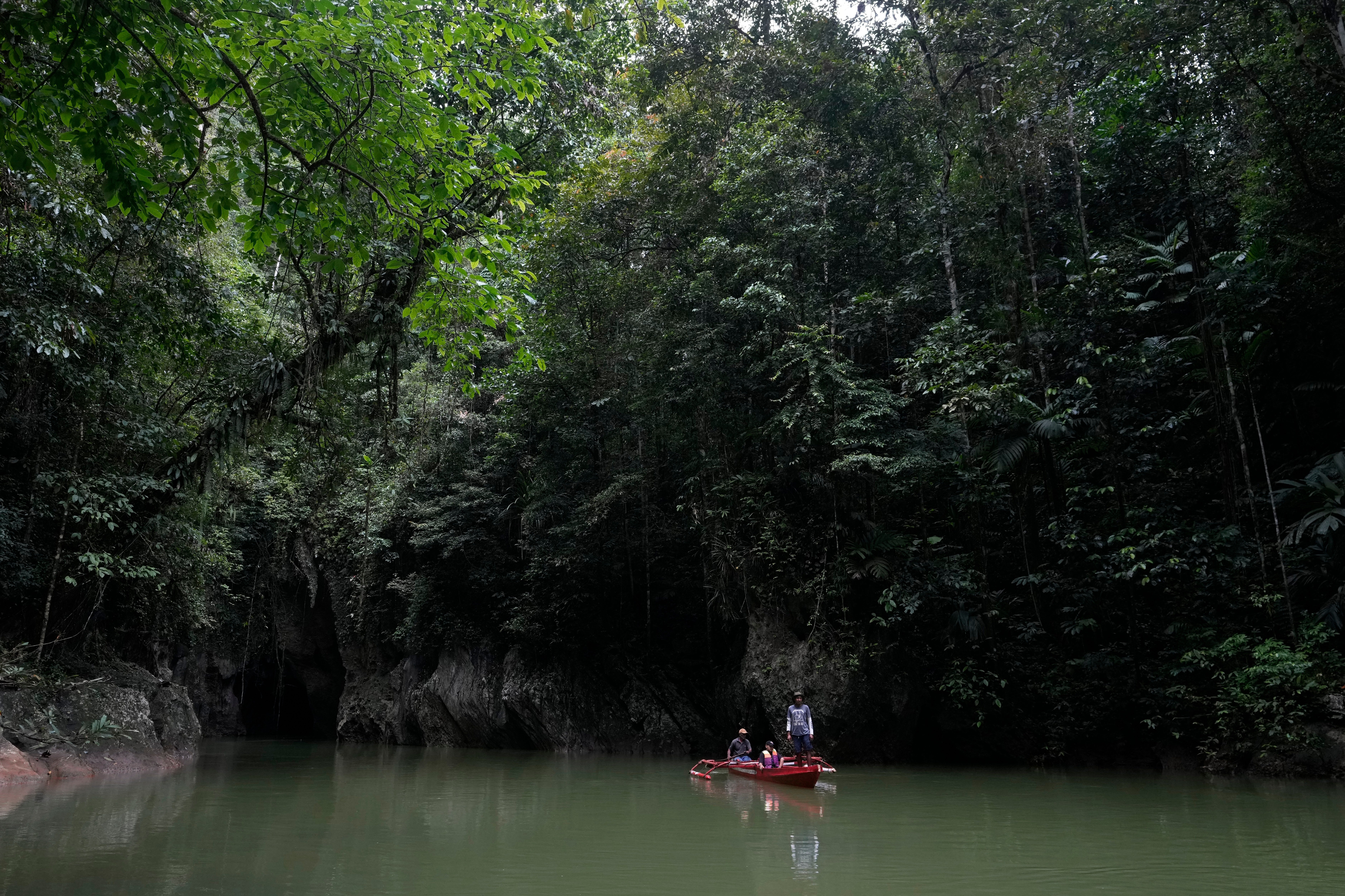 Climate Rainforest Funding