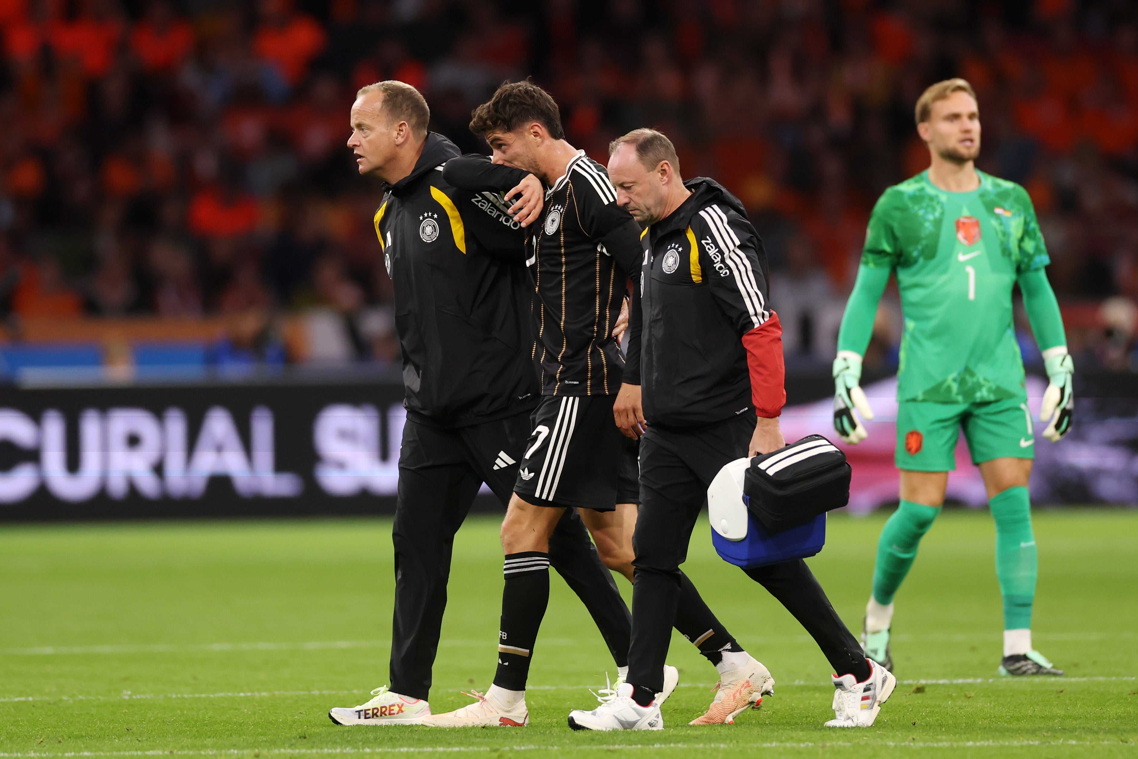 Kai Havertz limps off against the Netherlands (Getty)