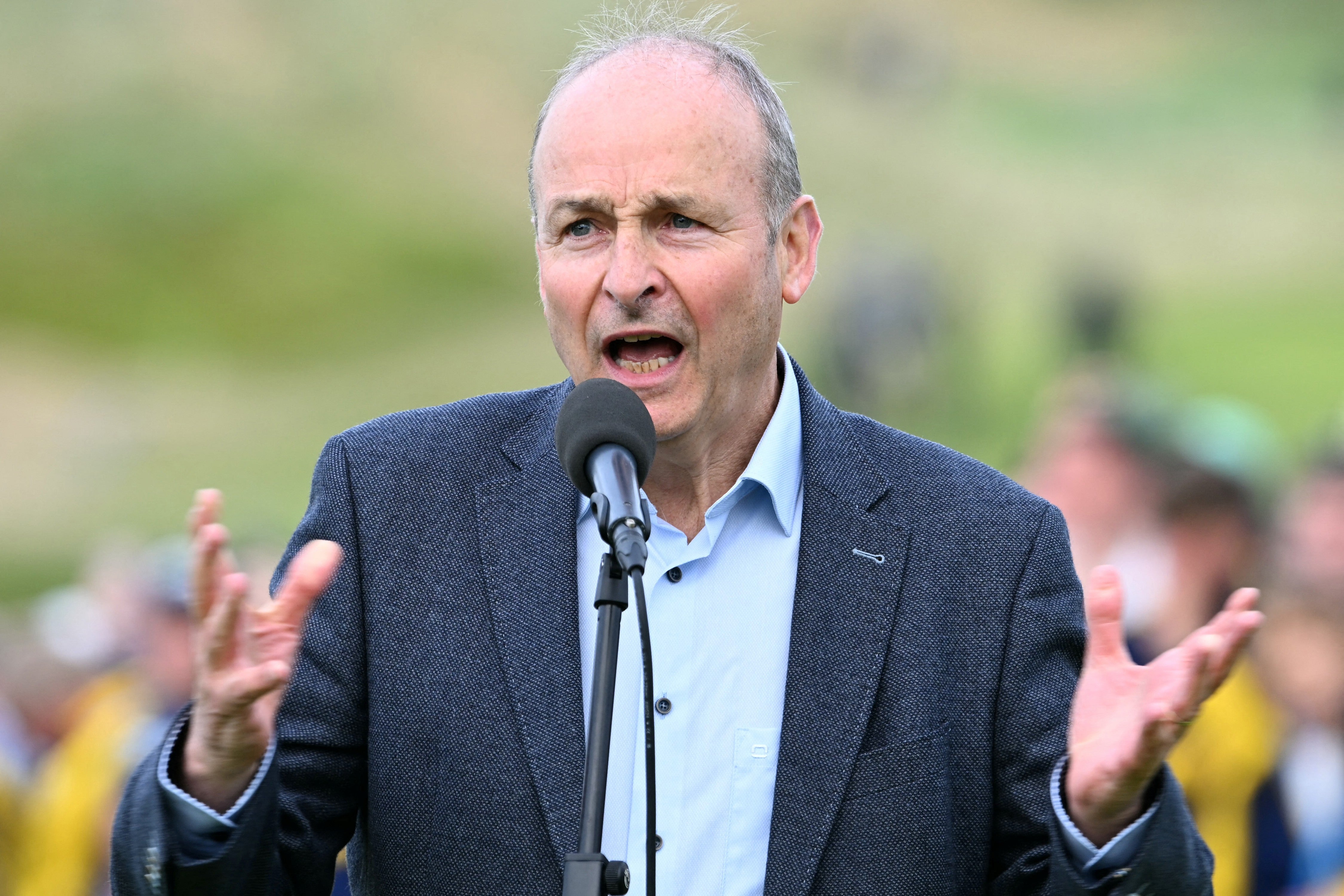 Irish taoiseach Michael Martin defended Hallgrimsson (AFP/Getty)