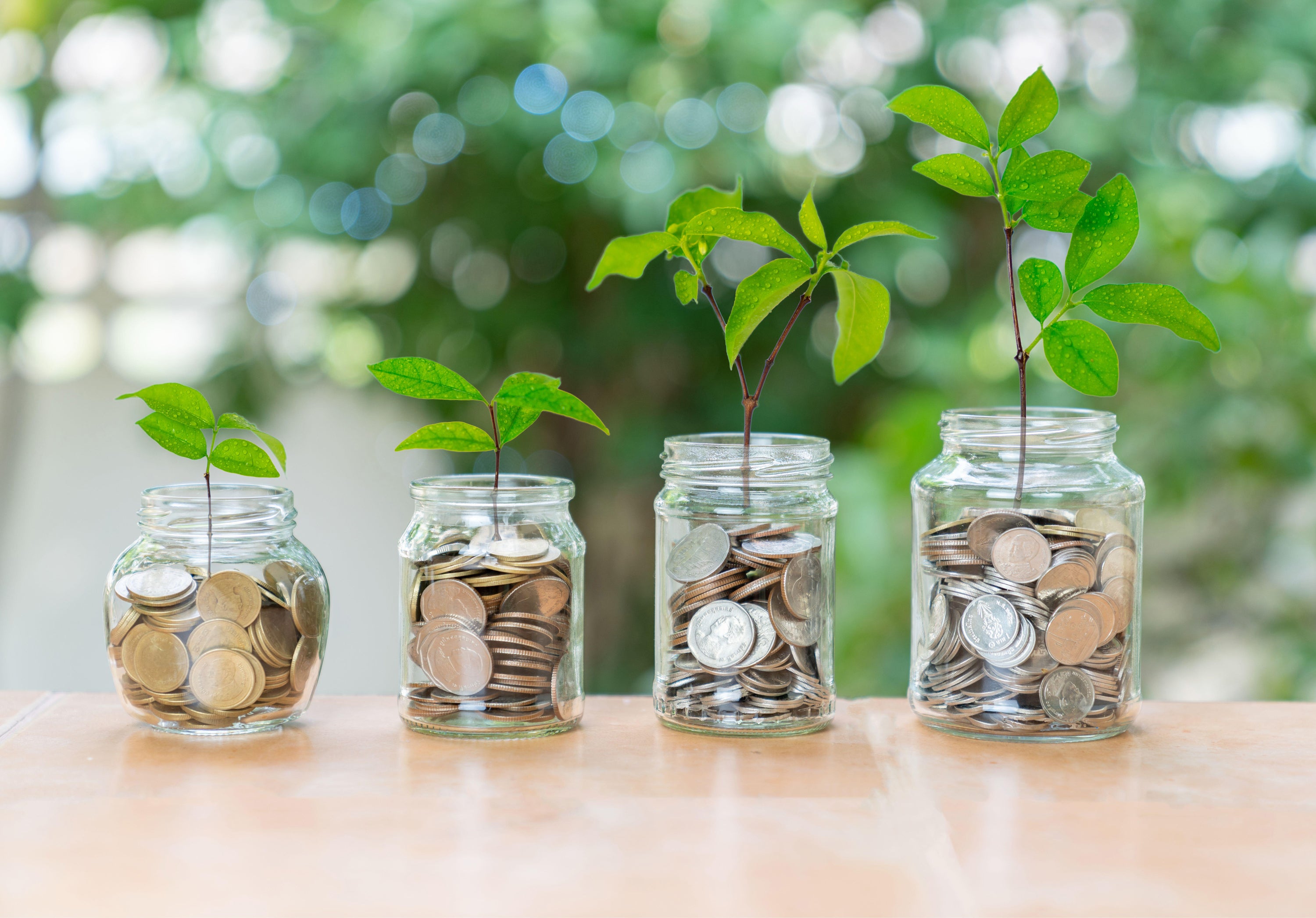 The financial adviser also recommends create a pot for enjoyment