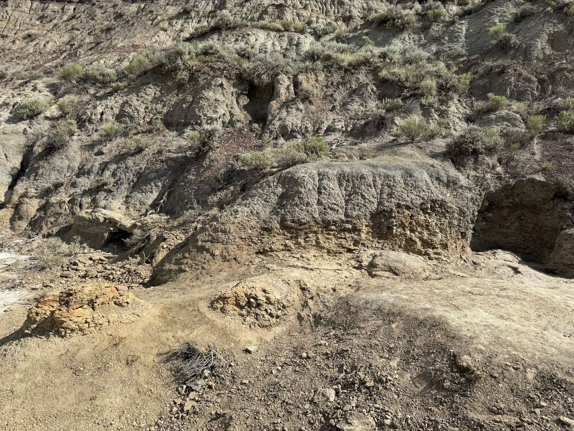 The trackway was discovered in the Hell Creek Formation of southwestern North Dakota