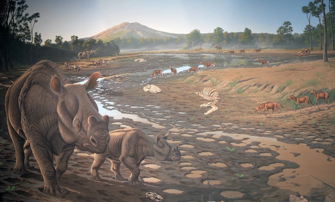 Southern California crews just uncovered bones that could be from this ancient mammal