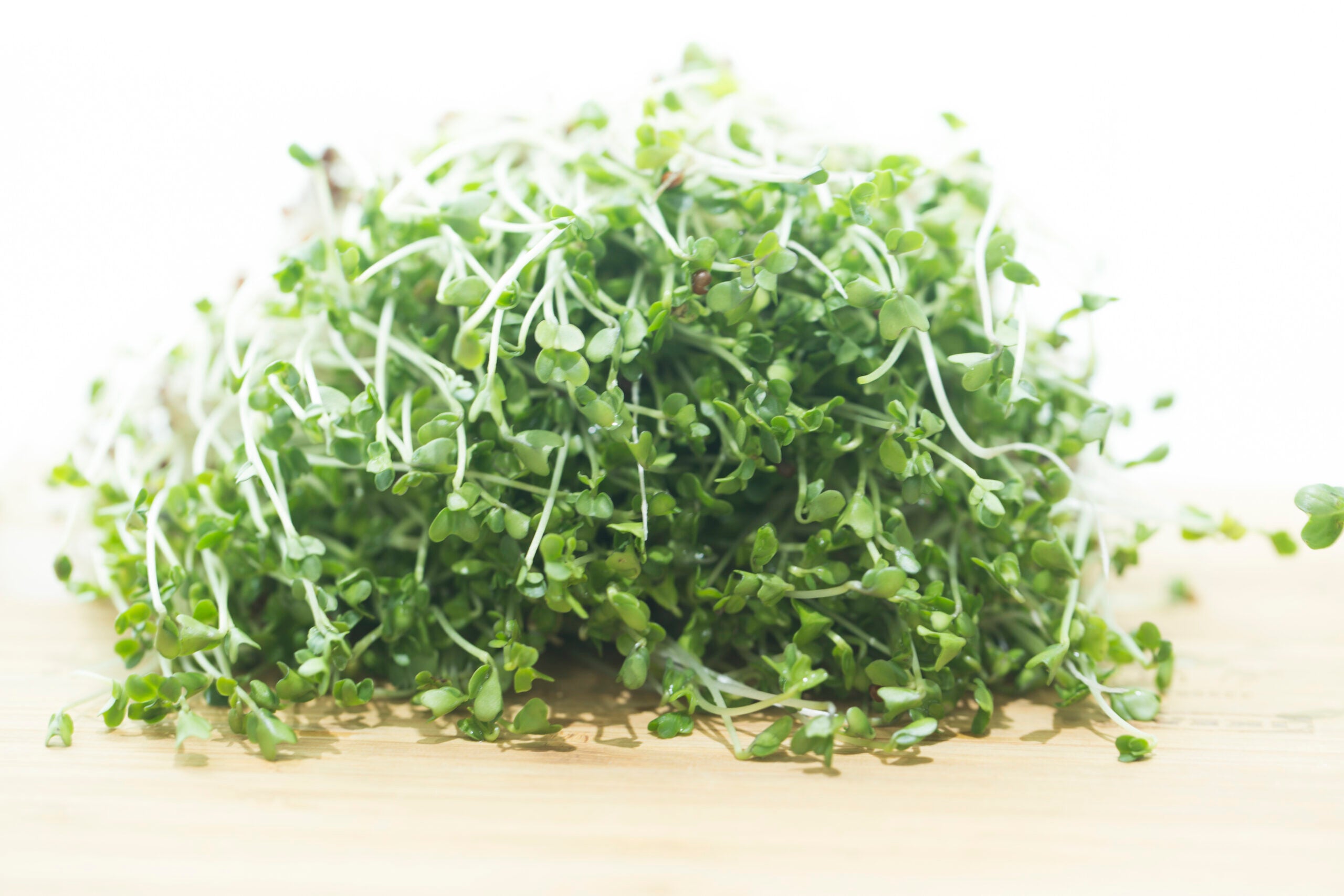 Dozens have fallen ill across the western U.S. after eating now-recalled broccoli sprouts