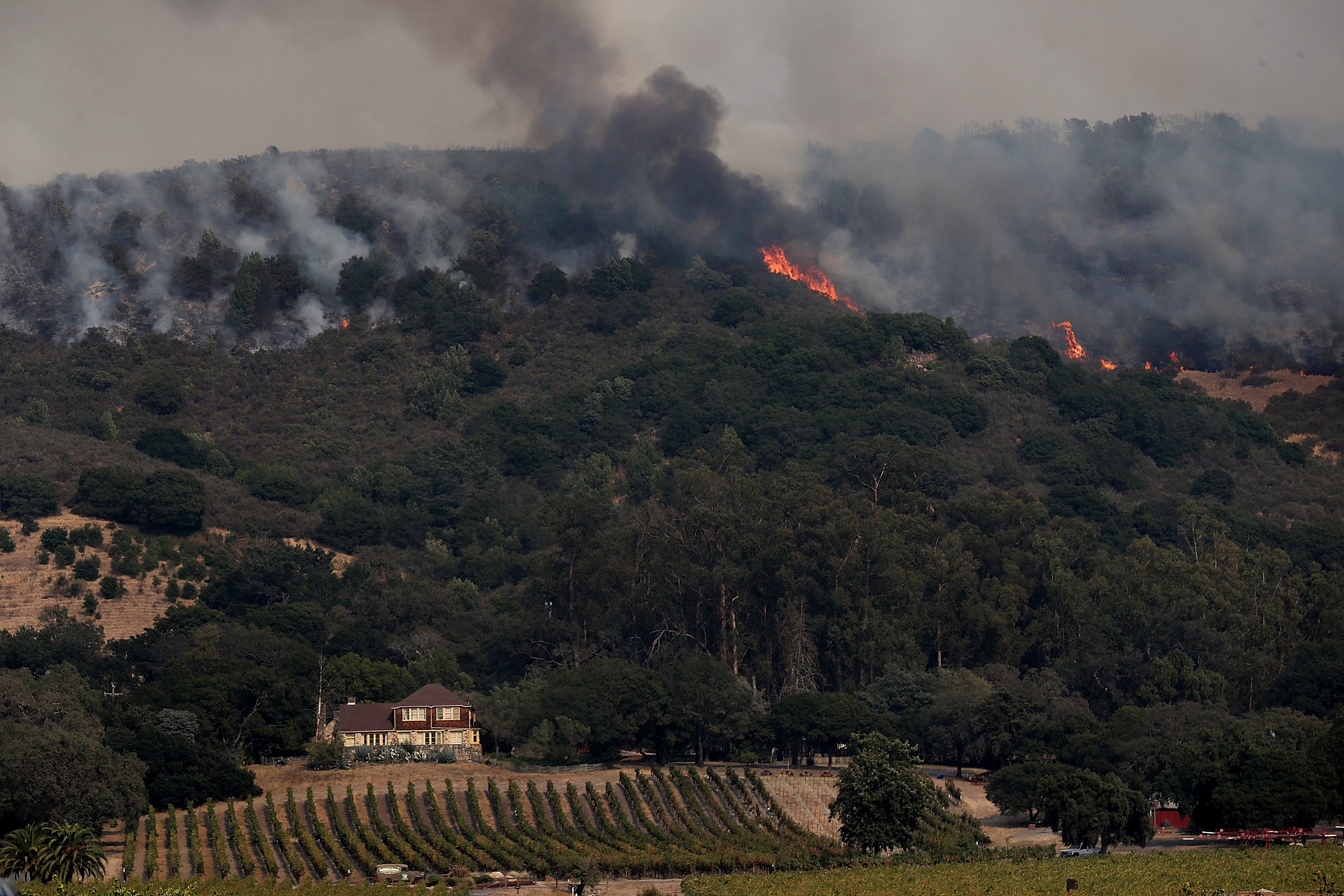 An out of control wildfire near Gundlach Bundschu winery on October 9, 2017 in Sonoma, California.