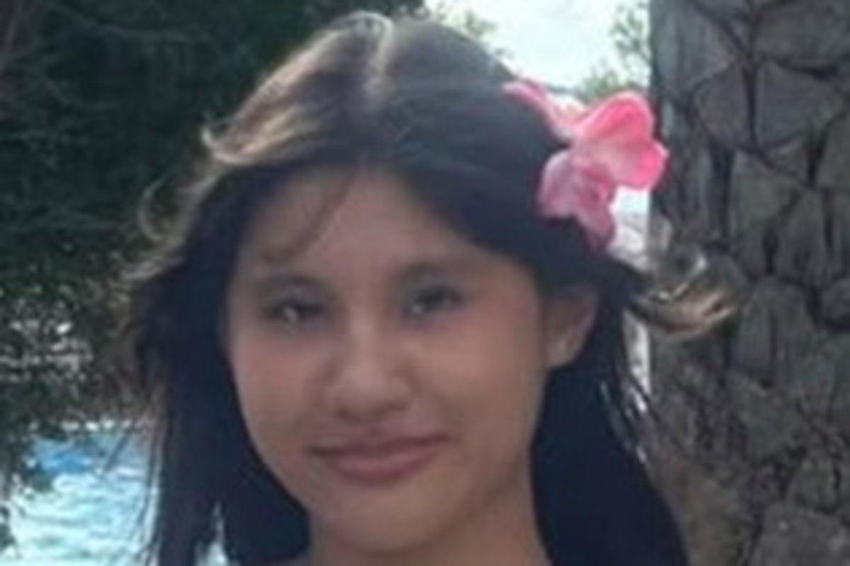 Schoolgirl who died after being hit by London taxi named