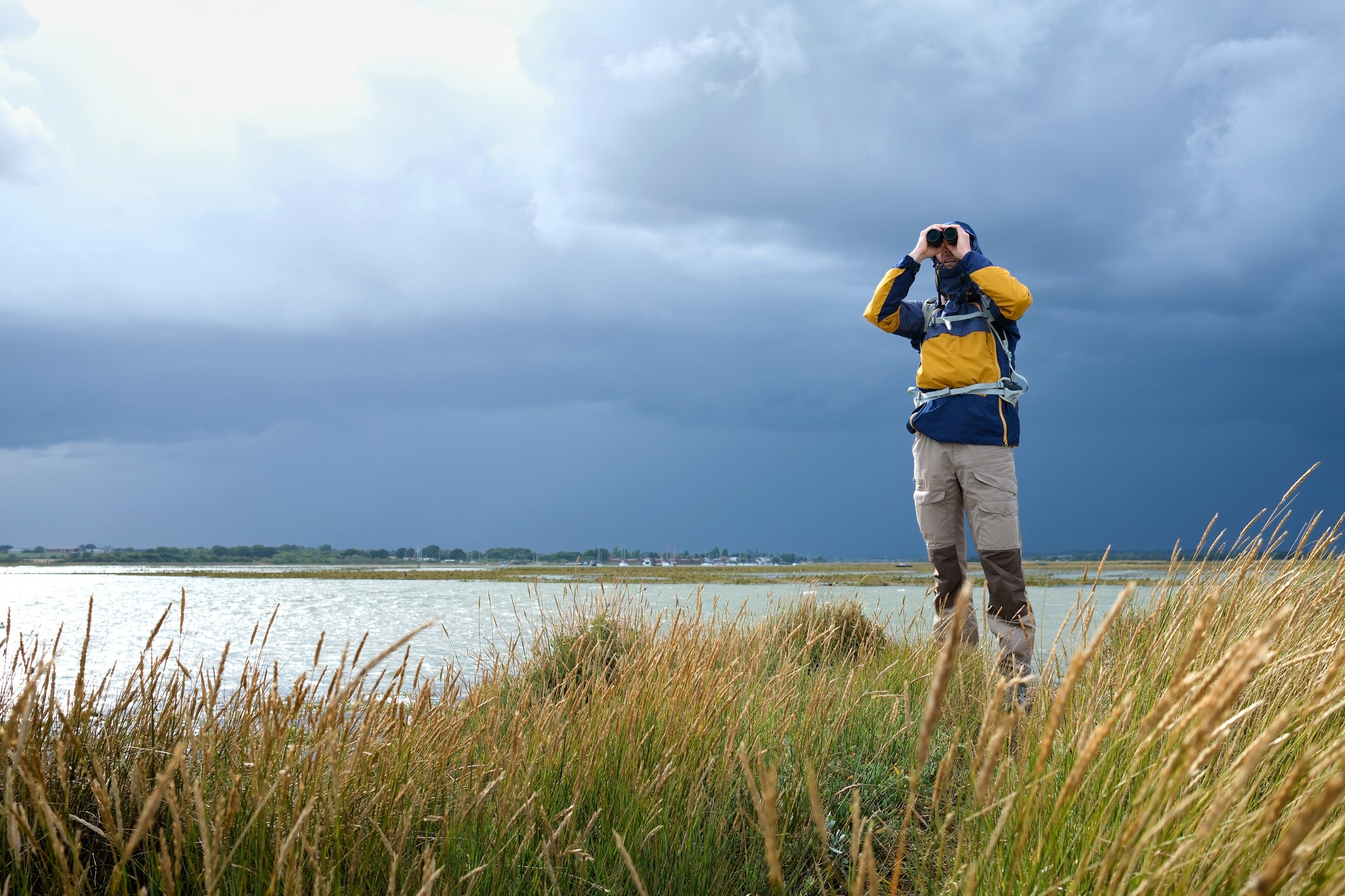 Beginner wildlife trips focus on identification rather than box-ticking (Getty Images / iStockPhoto)