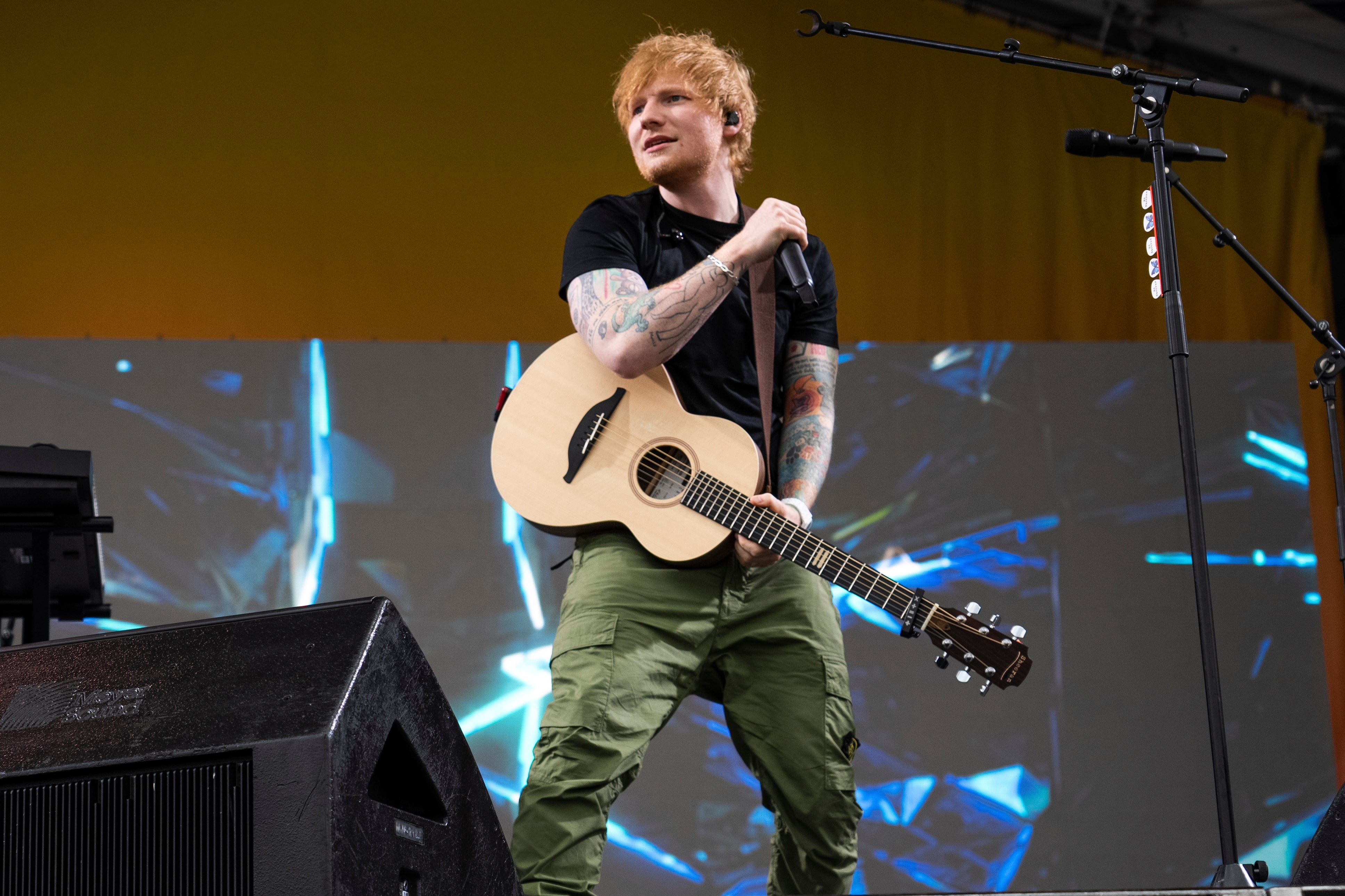 Ed_Sheeran_857_8.jpg