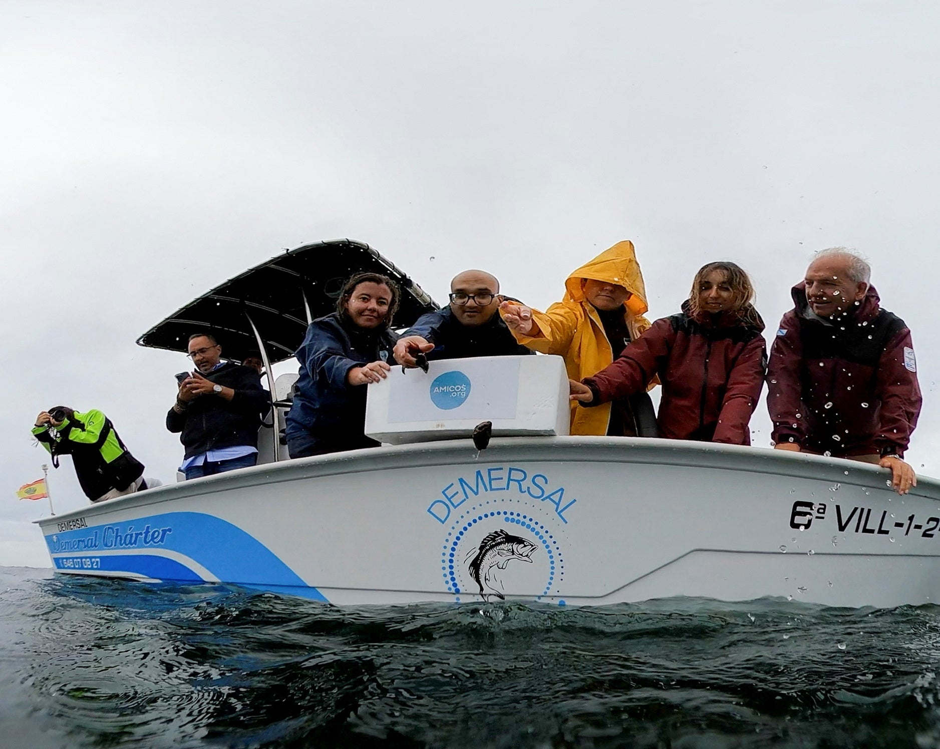 Members of Asociacion Amicos and local collaborators prepare to release rocks carrying cultivated kelp into the sea as part of a seabed restoration project off the coast of Ribeira in northern Spain, August 24, 2026