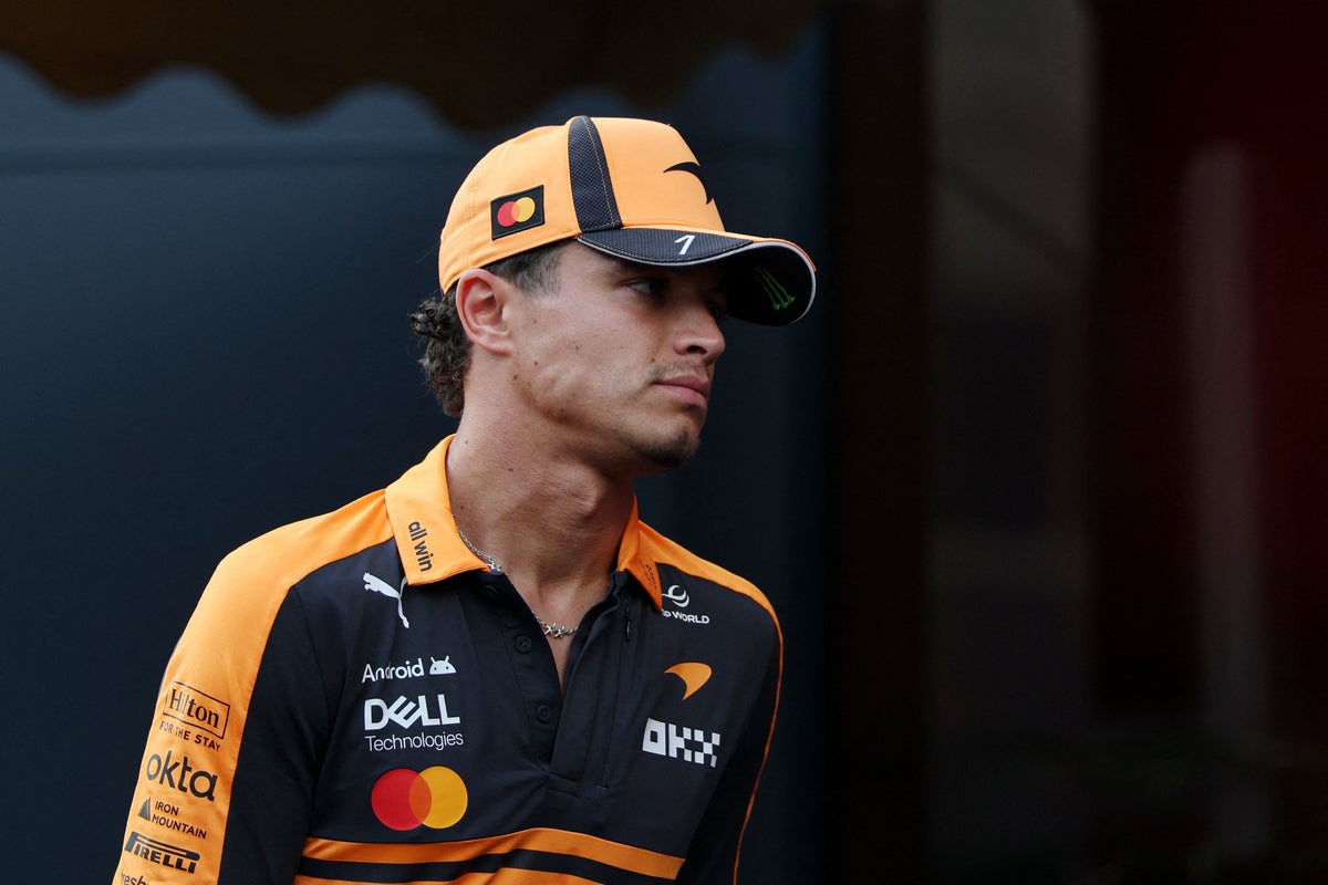Lando Norris targeted with online abuse after calling for rival driver to be banned