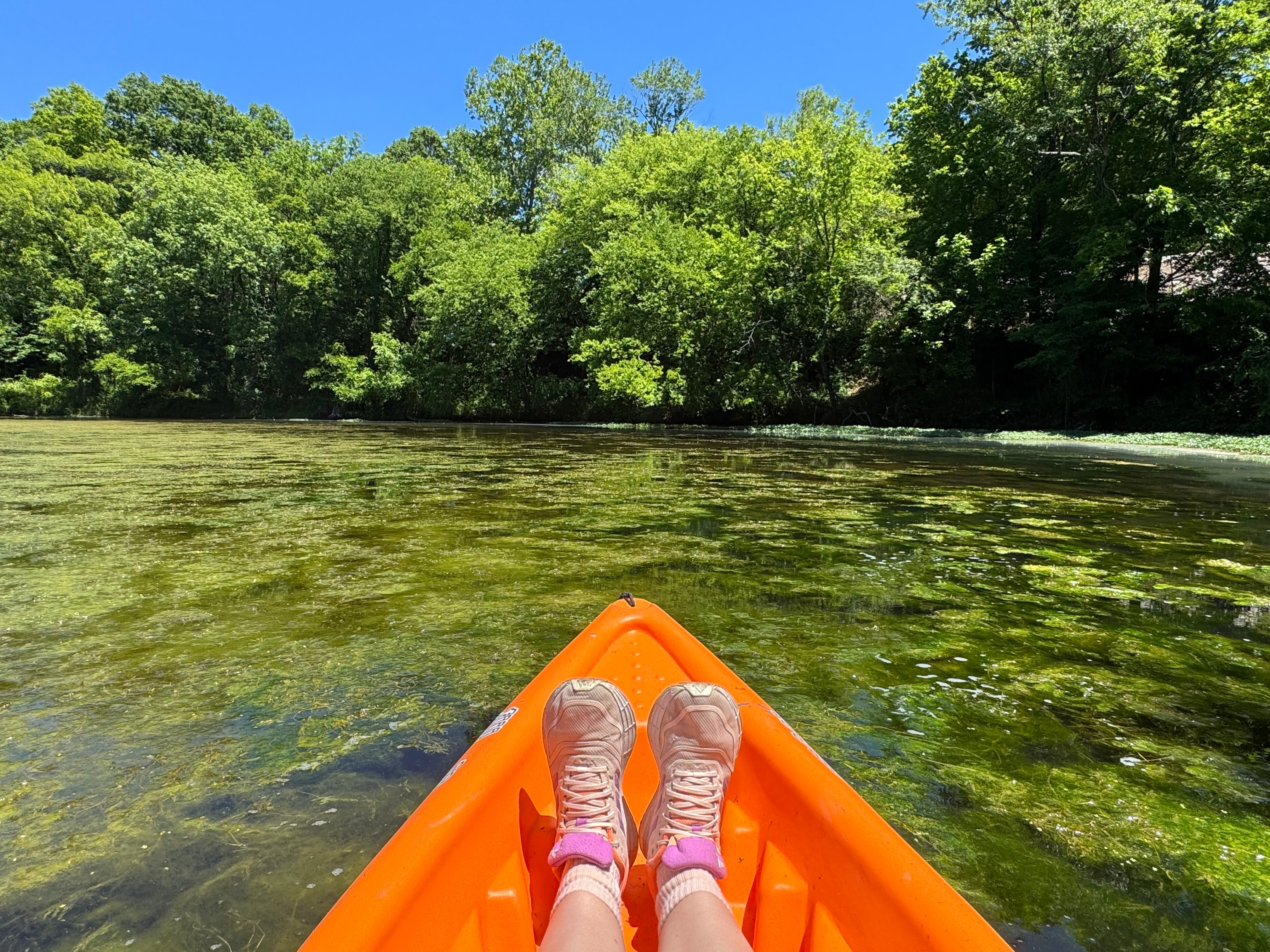 Kayaking on the Hidden Meadows in Tennessee