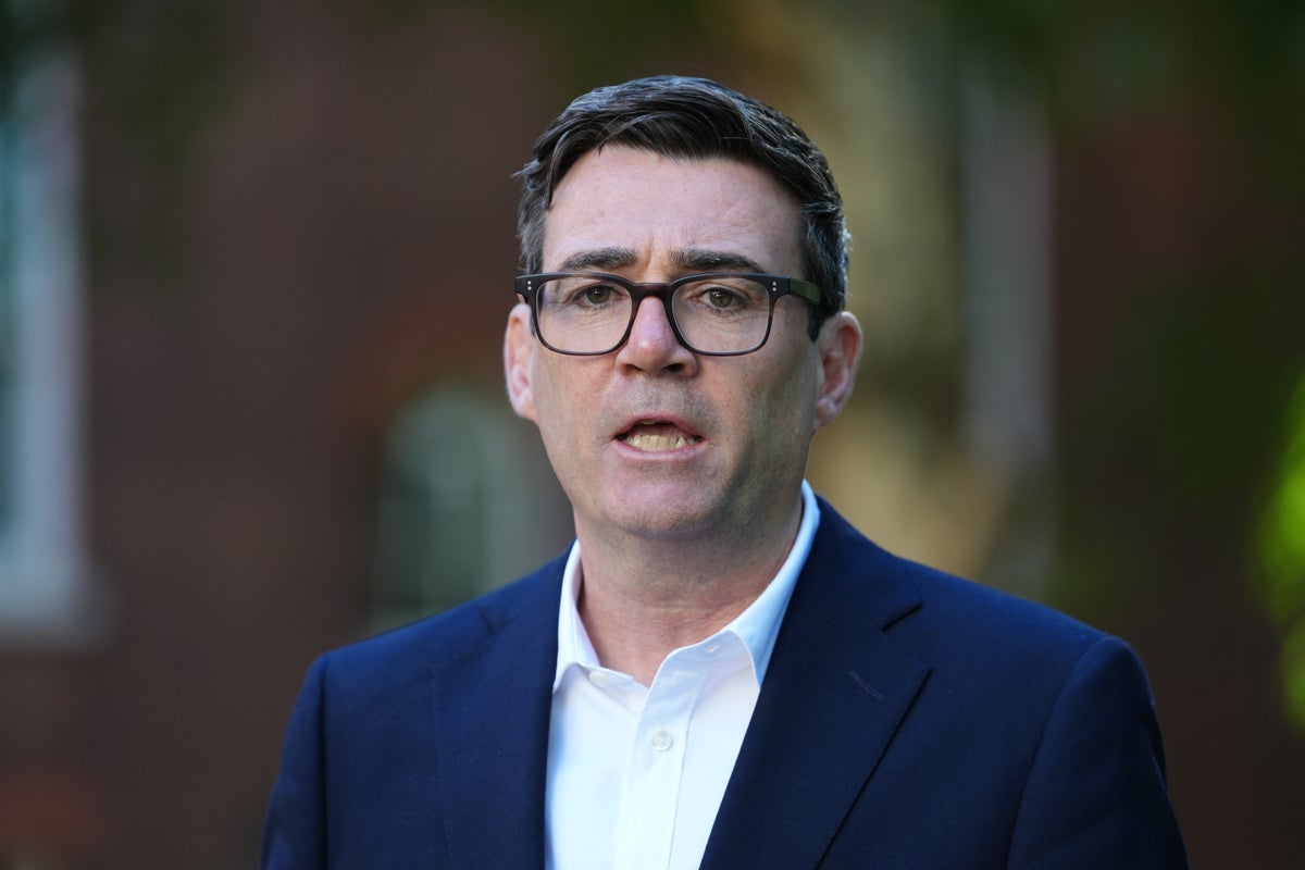 Burnham to put plan for free national care service to the public at next general election