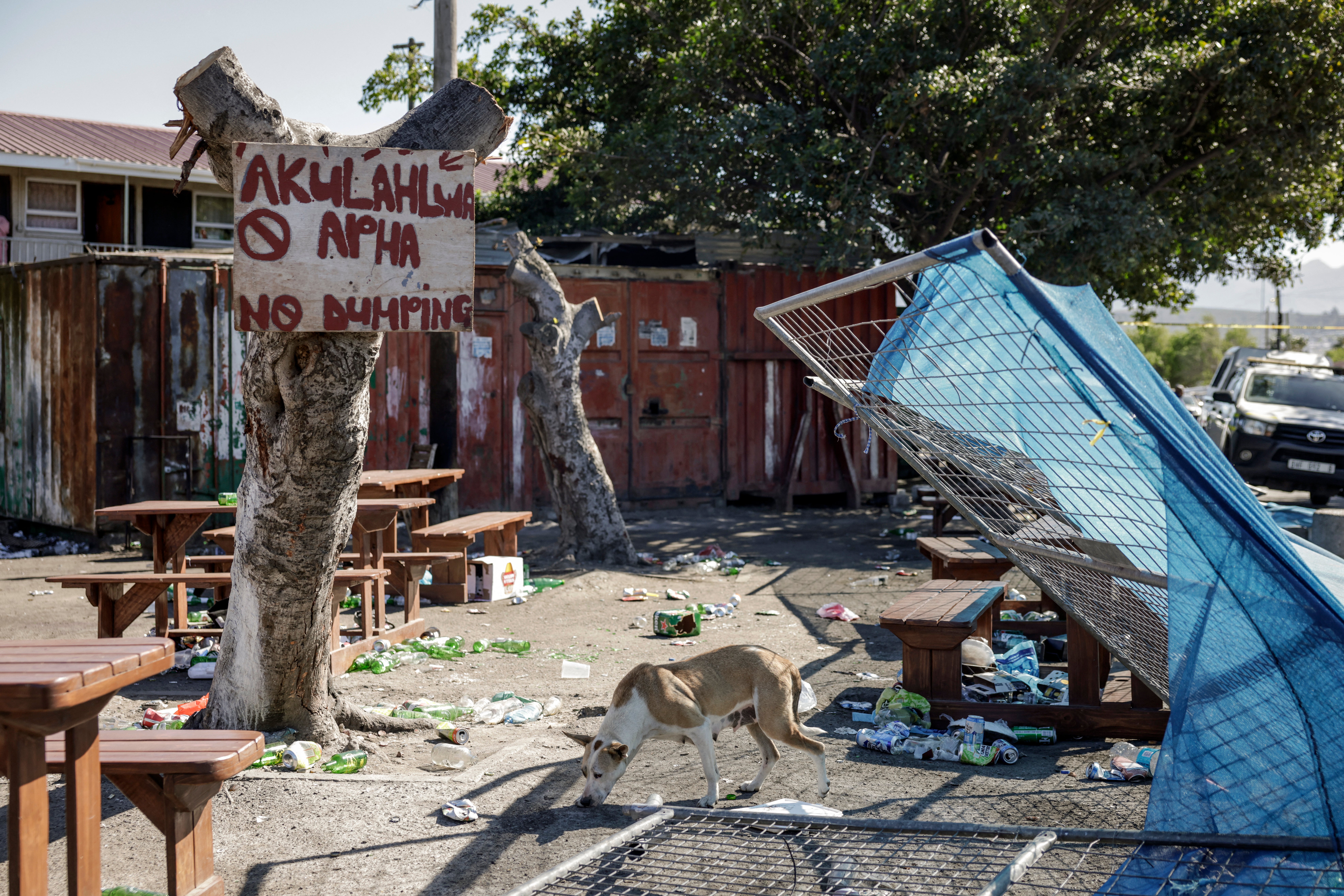 A dog walks among debris at an entertainment venue in Somerset West on September 27, 2026, after armed gunmen stormed the premises