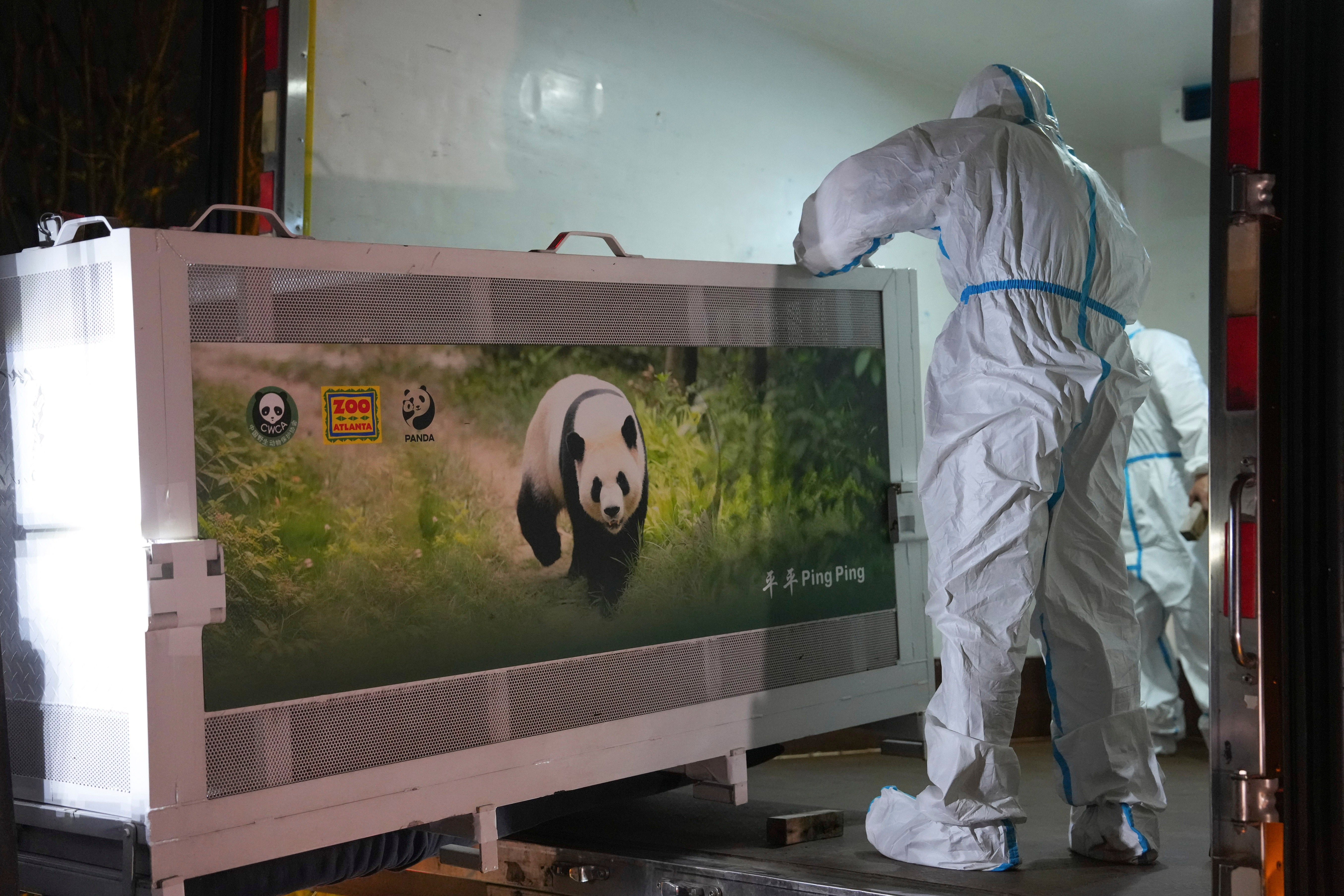 The 10-year loan contract guarantees Ping Ping and Fu Shuang will remain at Zoo Atlanta for a decade
