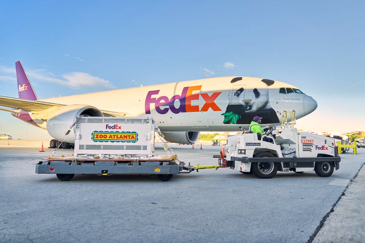 Two giant pandas arrive at Atlanta zoo from China for 10-year stay