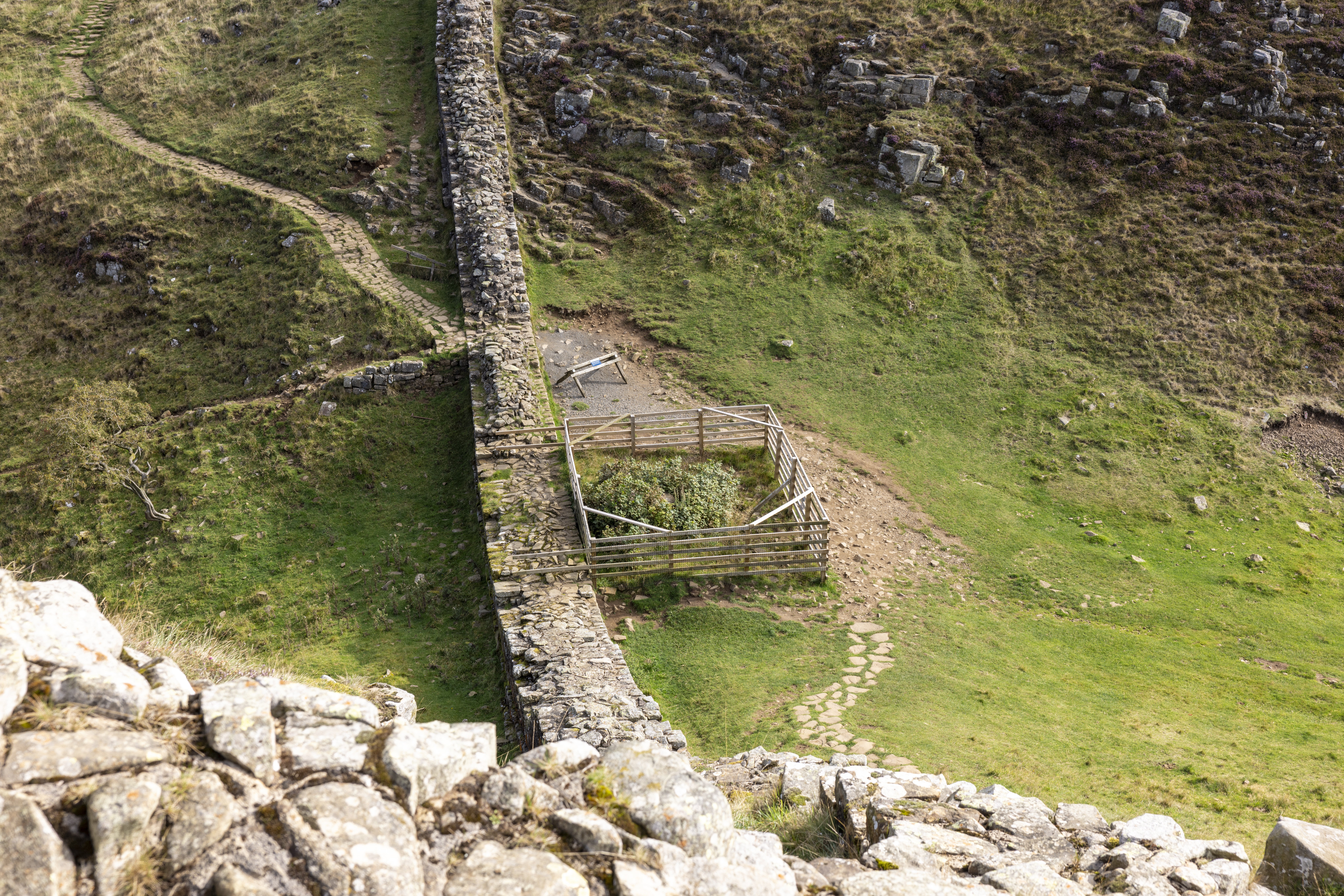 The stump sits next to Hadrian’s Wall in Northumberland (National Trust/PA)