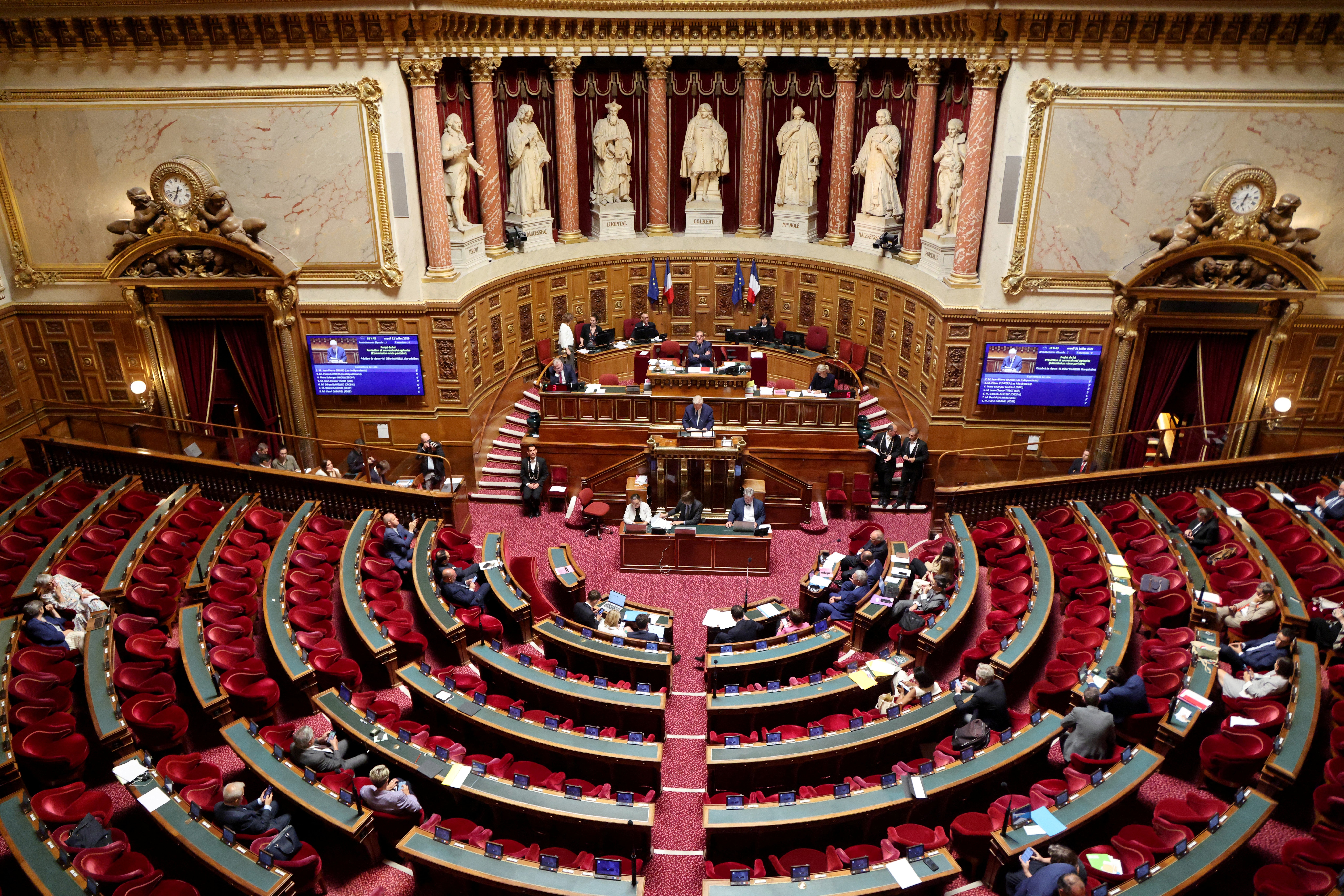 The French senate pictured in July. Half of the chamber is re-elected every three years (AFP/Getty)