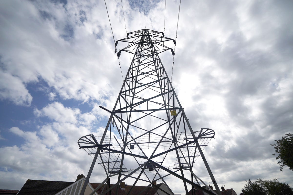 Electricity grid operator calls for more power generation