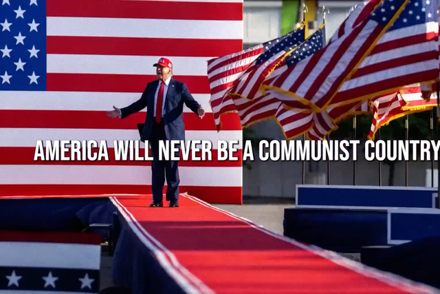 The White House has argued the ads are merely ‘public service announcements’ and contain no ‘call to action’