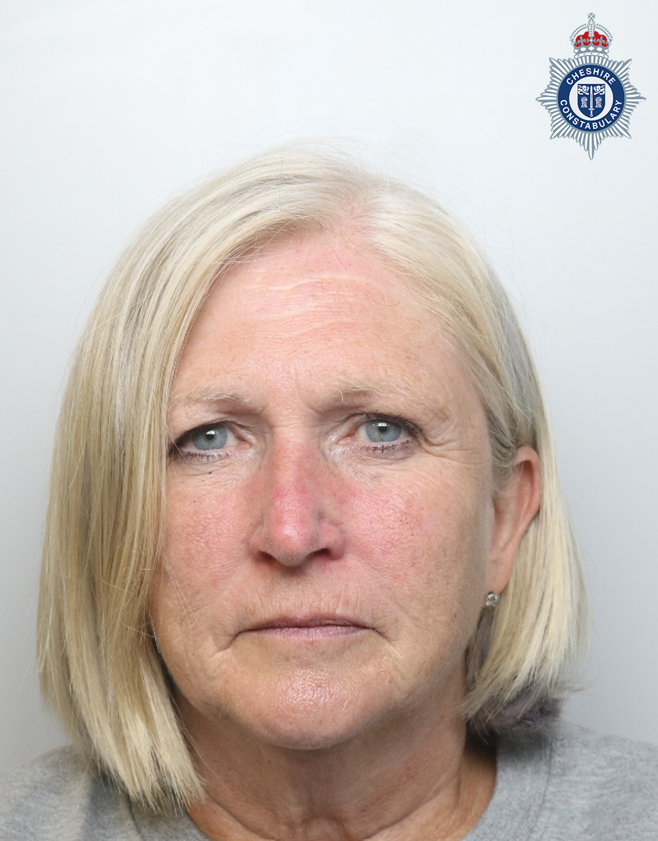 Jayne James, 63, pleaded guilty to dangerous driving