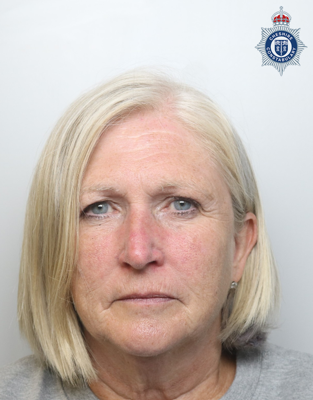 Jayne James, 63, pleaded guilty to dangerous driving
