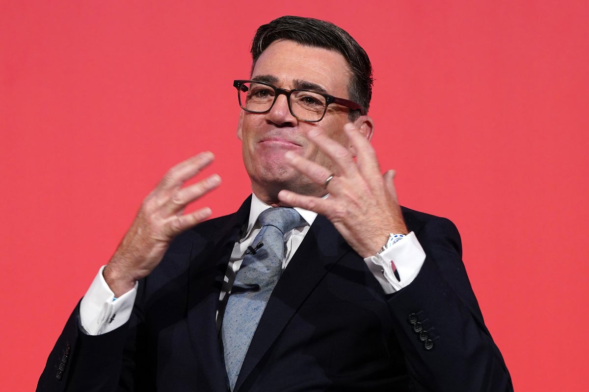 Andy Burnham to unveil publicly owned Great British Grid to slash UK energy costs