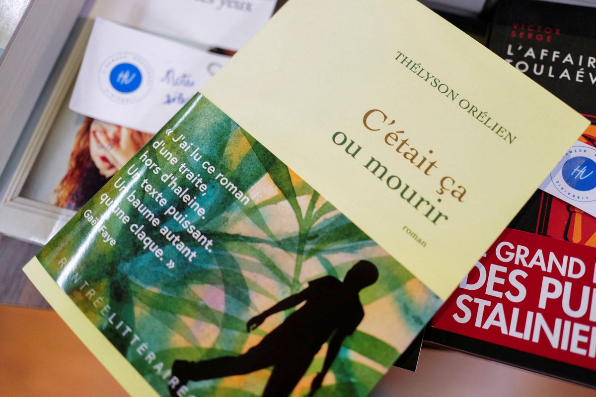 The bestselling novel pulled from prestigious literary prize after AI allegations