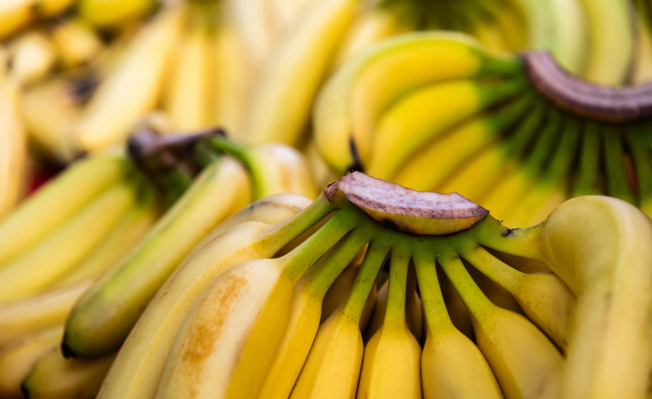 The crop has been approved in Brazil and Japan