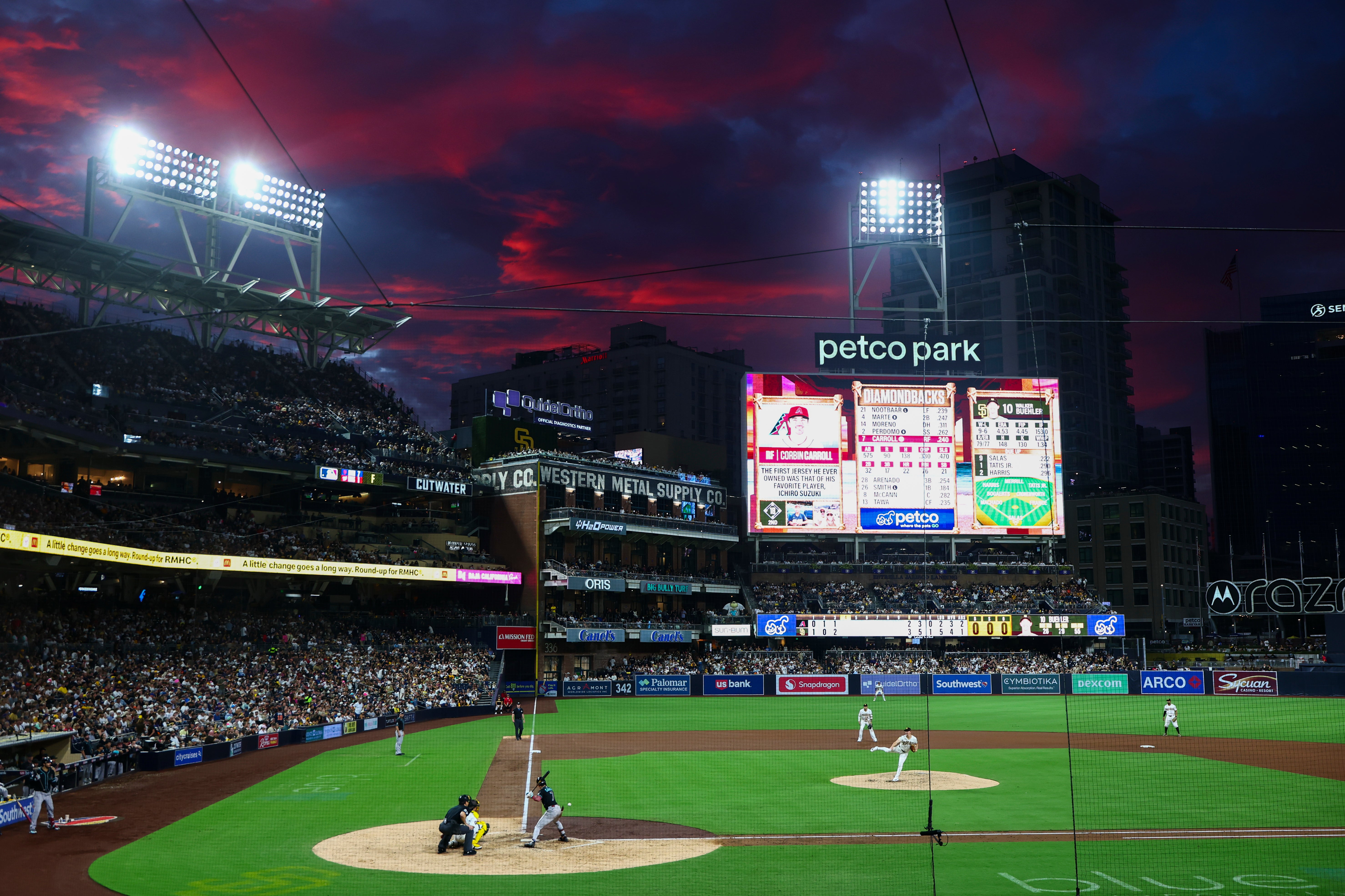 CACHORROS-PADRES PANORAMA