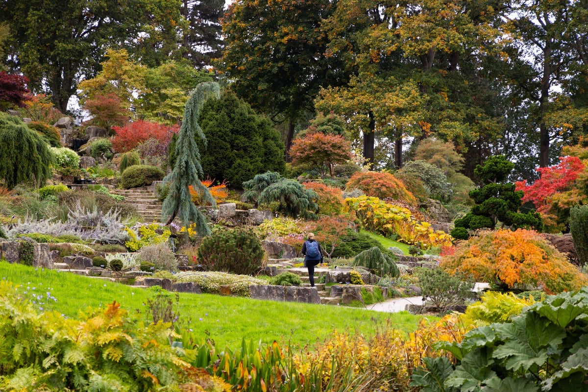 Top UK gardens to see autumn colours this season