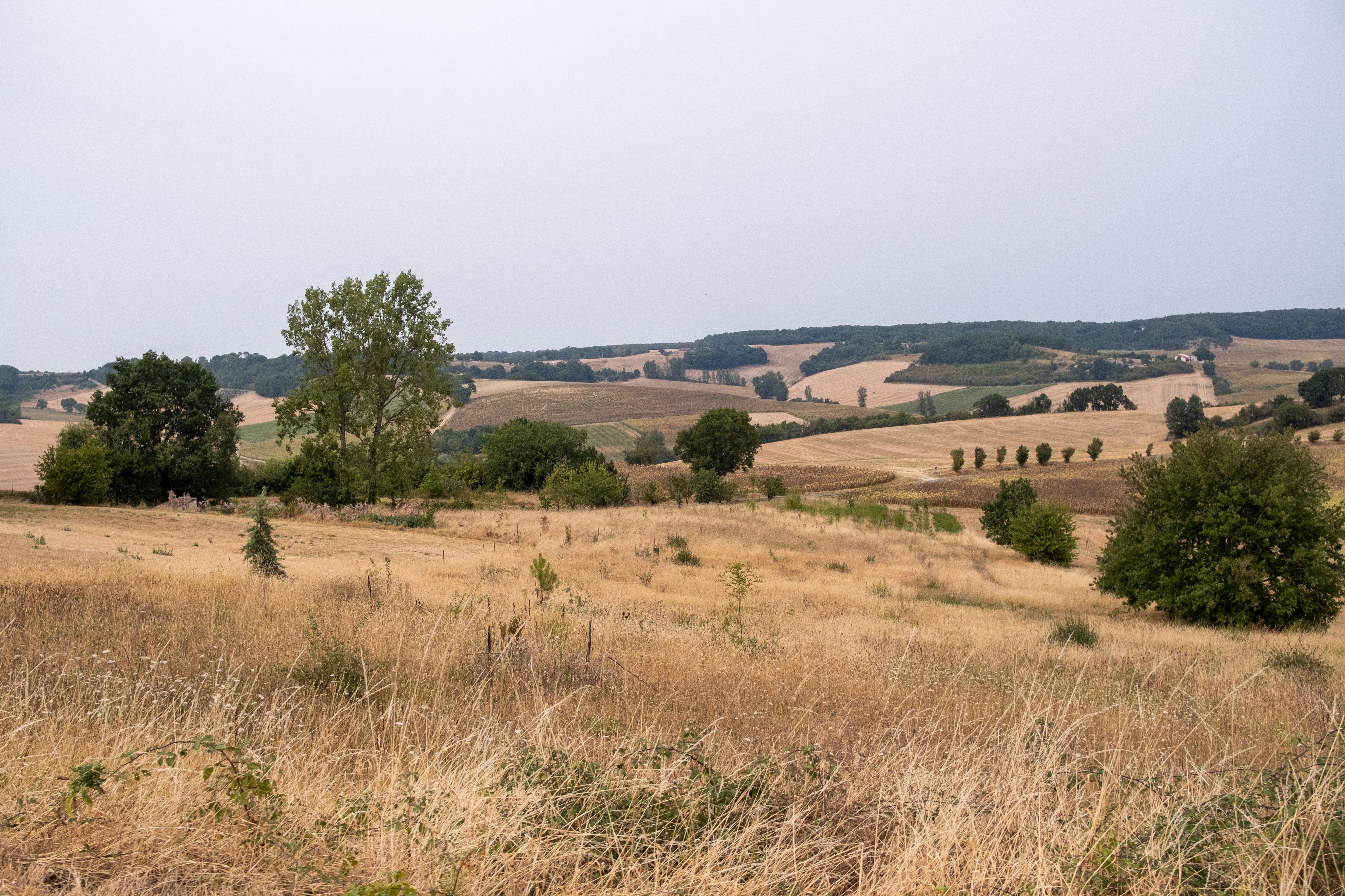 John A was killed in a remote part of France's southern Gers department (file photo)