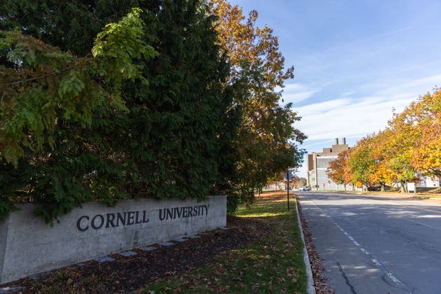 <p>Una presunta violación grupal ocurrida en la casa de una fraternidad en 2024 vuelve a sacudir el campus de Cornell, en el norte del estado de Nueva York</p>