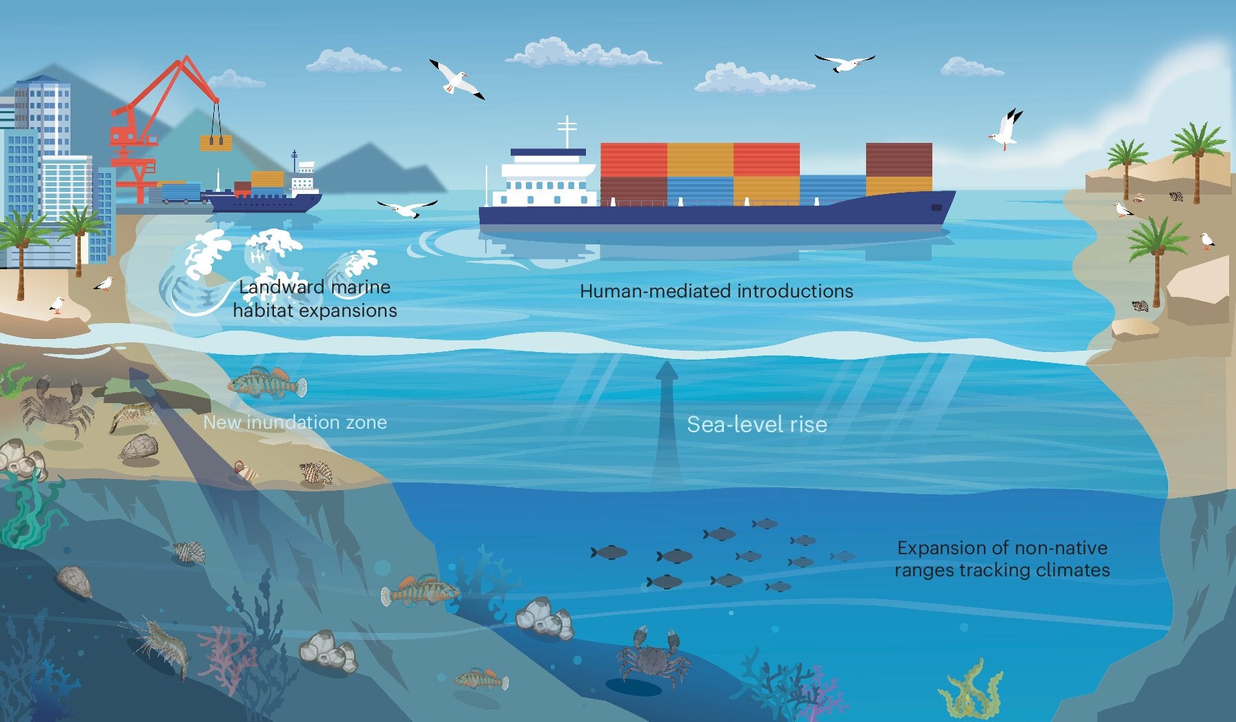 Three fundamental pathways for biological invasions