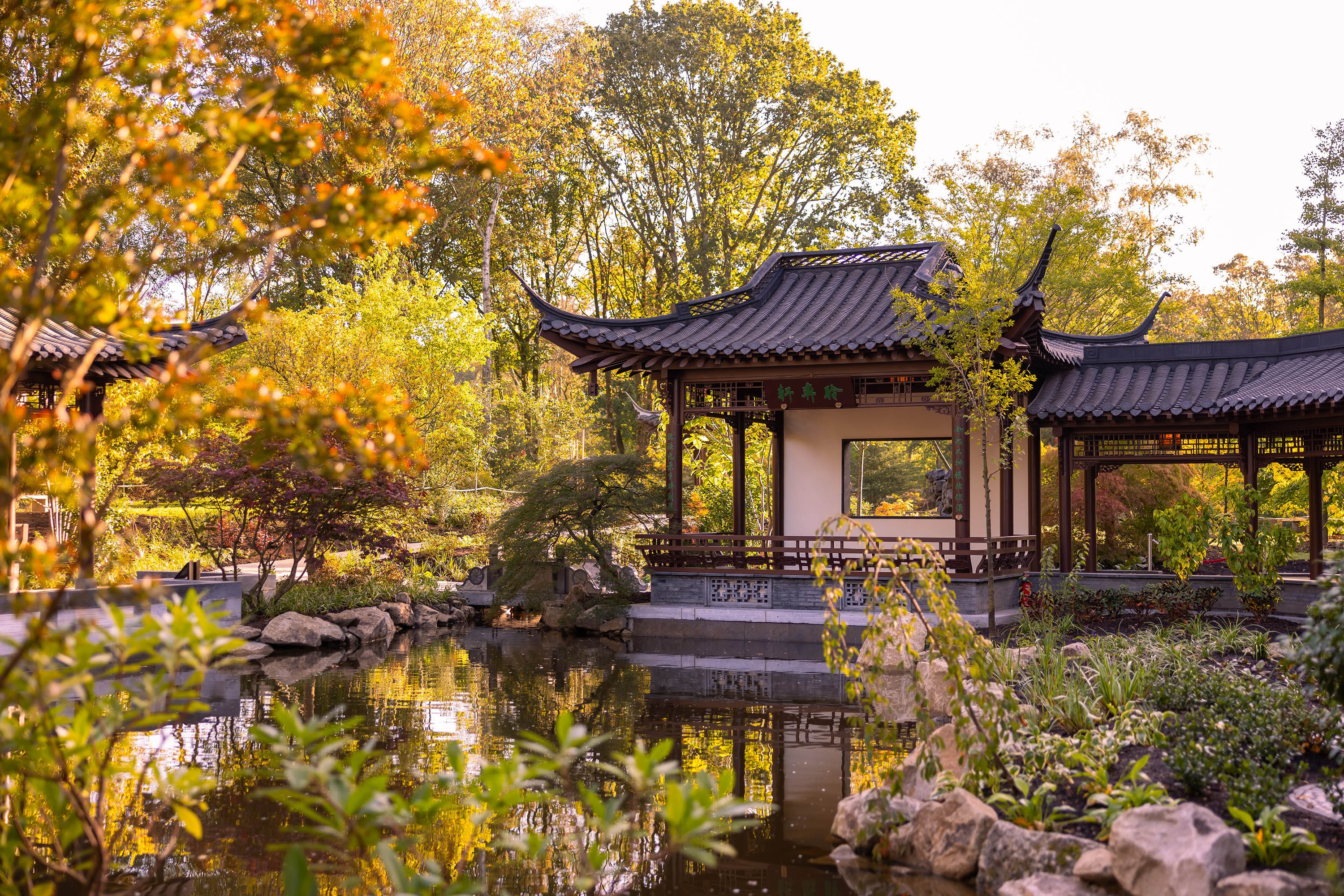 Yangzhou Scholars' Garden at RHS Garden Bridgewater