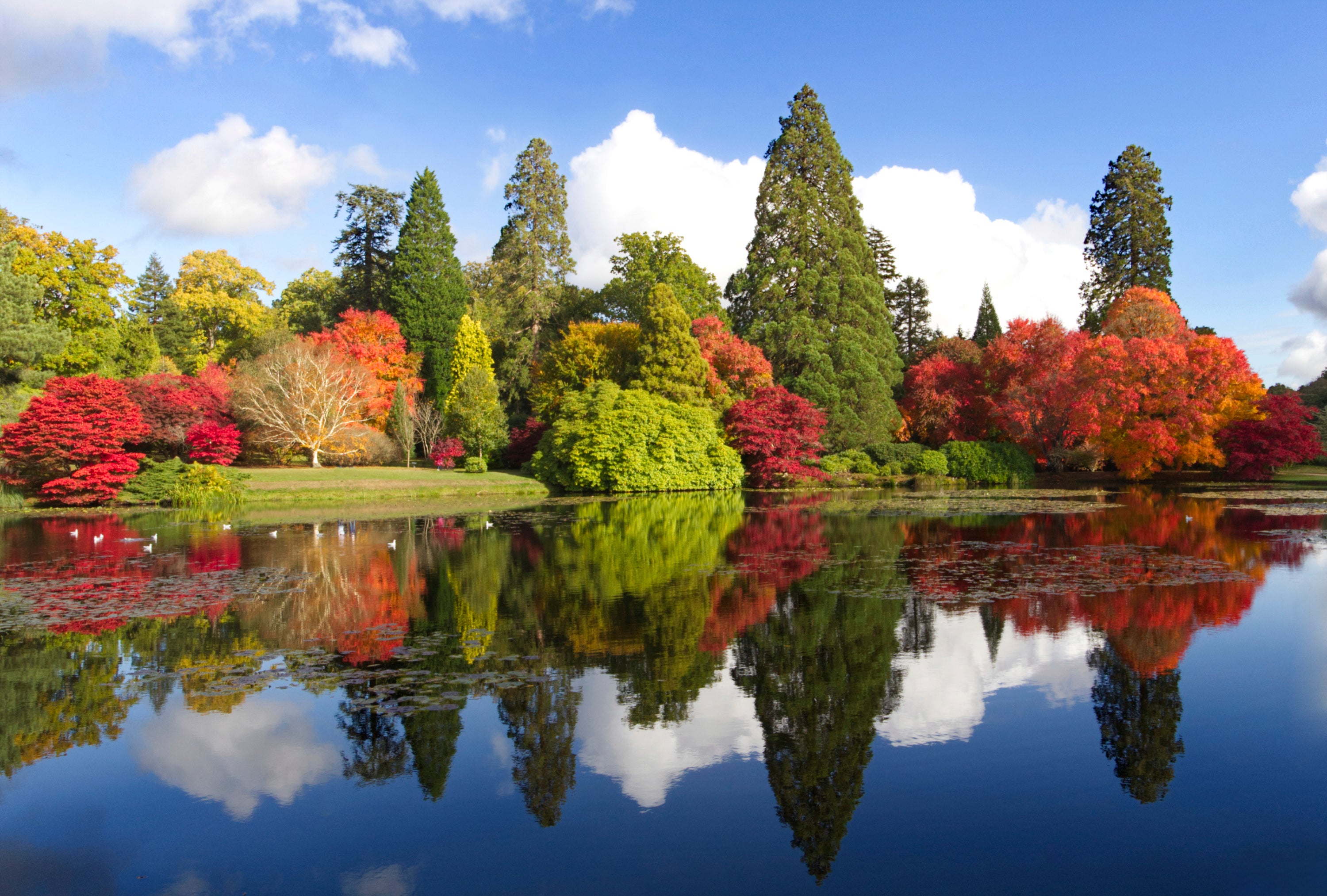 Sheffield Park