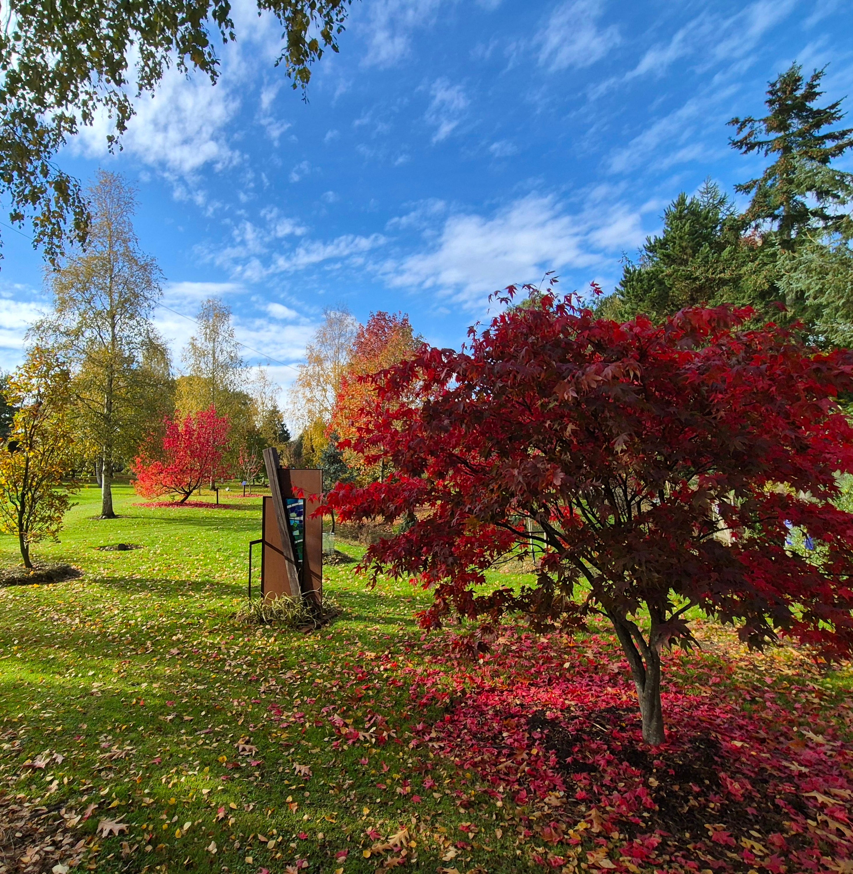 Bluebell Arboretum & Nursery