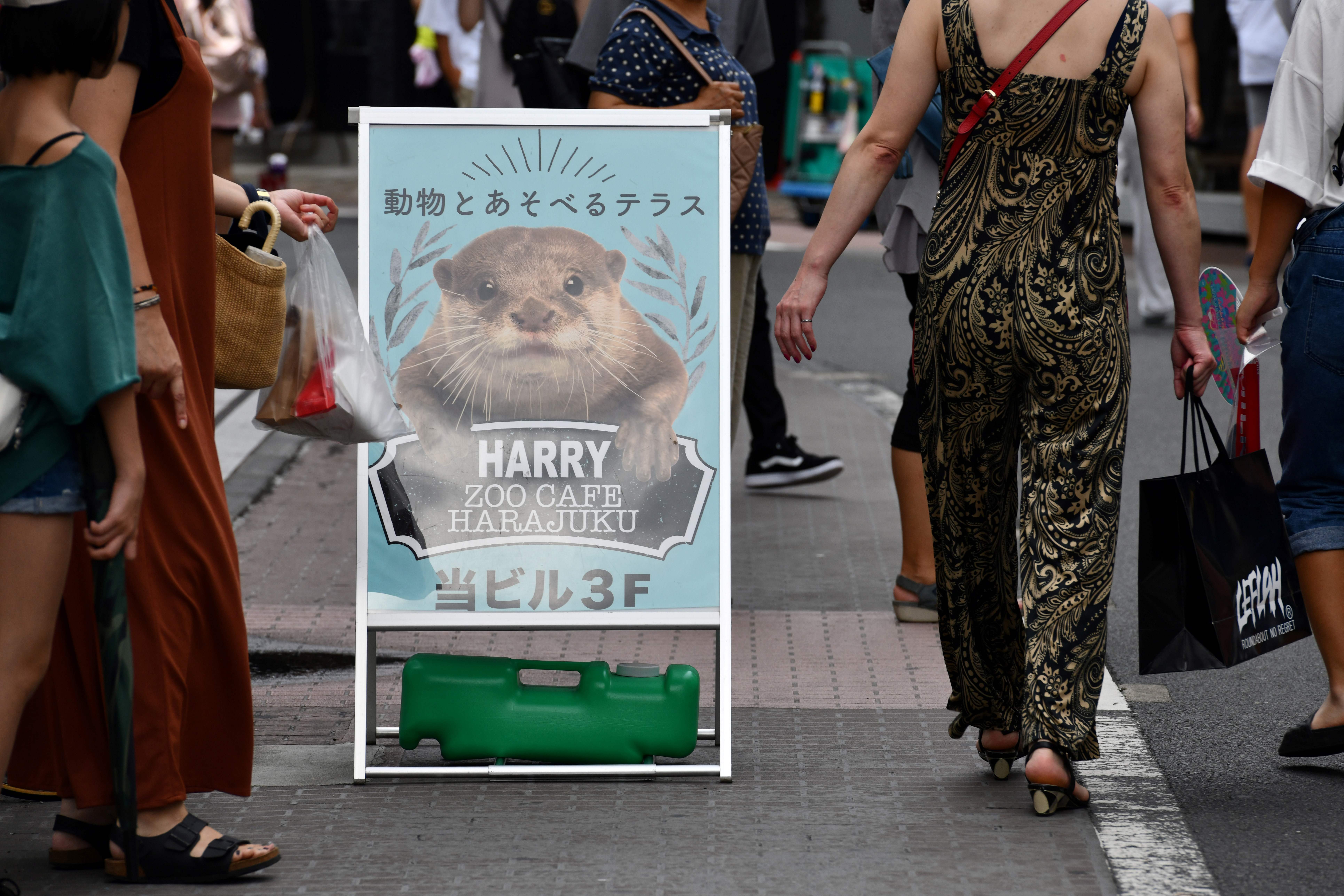 A promotional signboard for a pet cafe that features otters is displayed at the Harajuku district in Tokyo