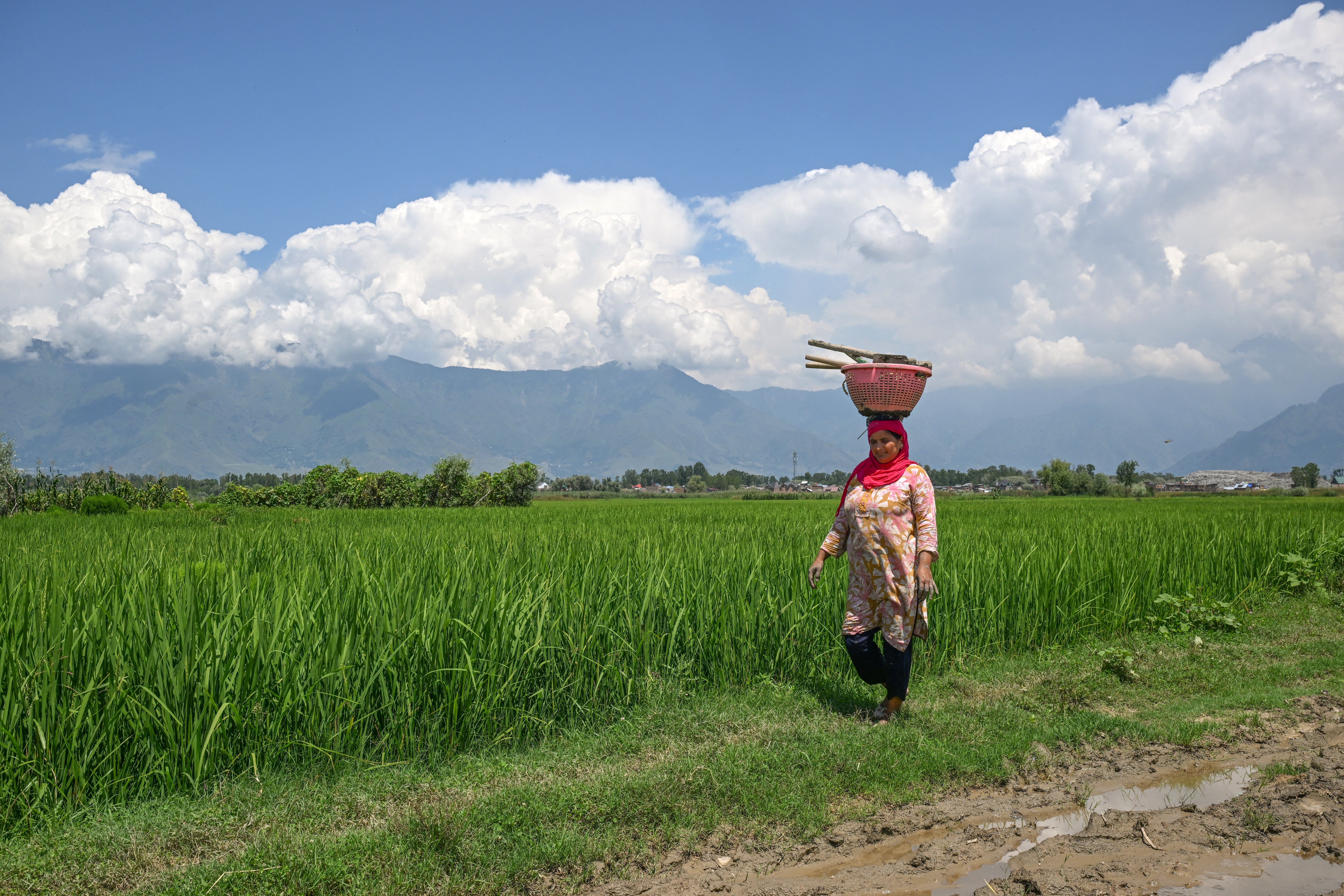 independent.co.uk - Stuti Mishra - India warns of major 'food crisis' in coming months amid El Nino and global conflicts