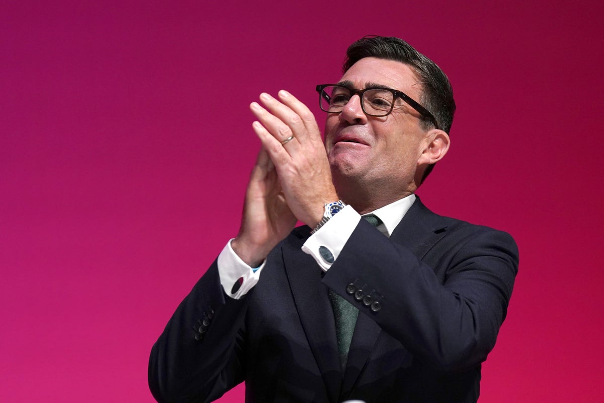 The interview that influenced Burnham’s bombshell EU announcement