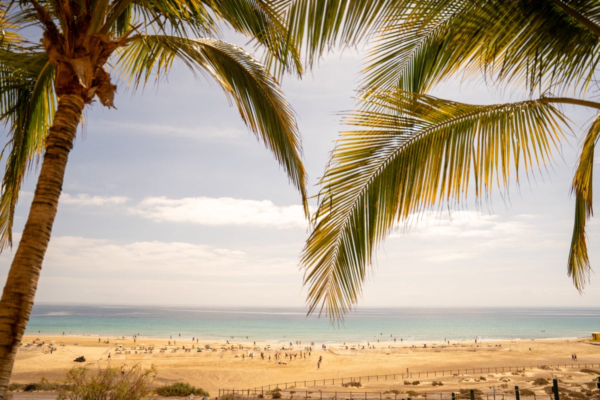 Short-haul sunshine: elevated escapes await