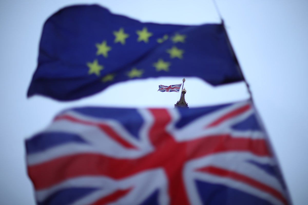 Boost for Burnham as poll shows half of UK supports rejoining EU
