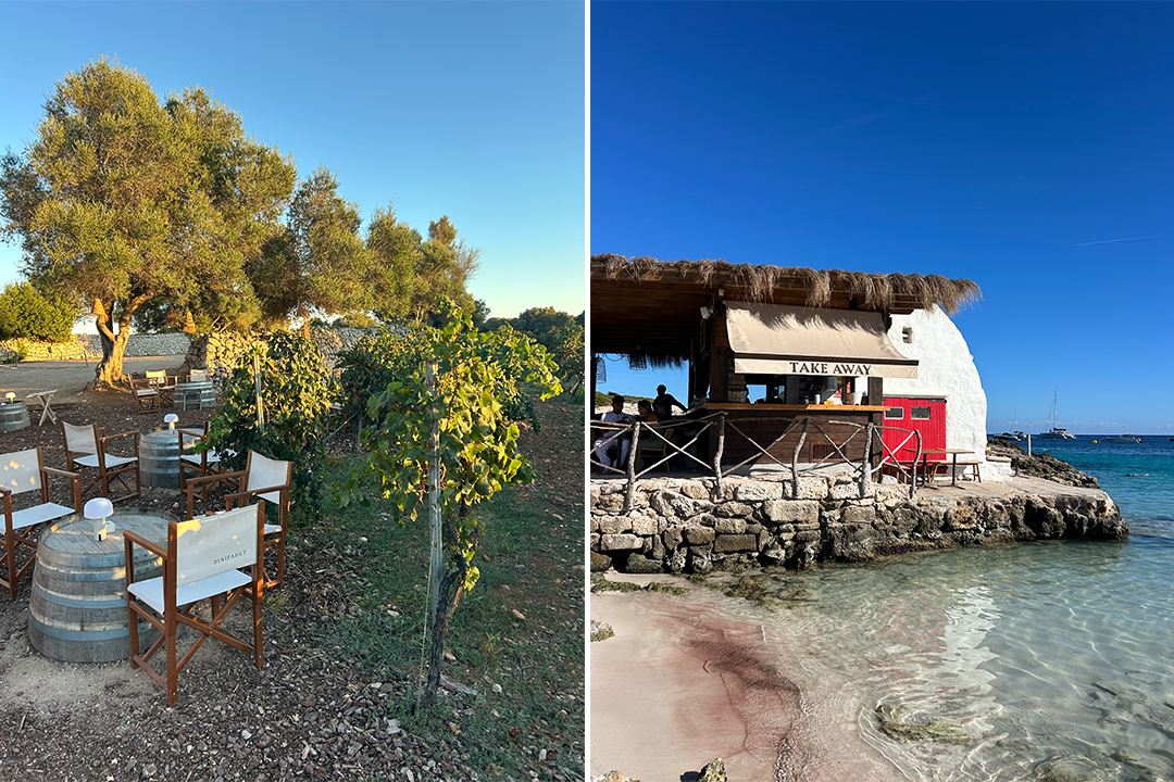 Bodegas Binifadet hosts laidback wine tastings, while Bucaneros occupies a 1960’s white-stone fishing hut (Daisy Lester/The Independent)