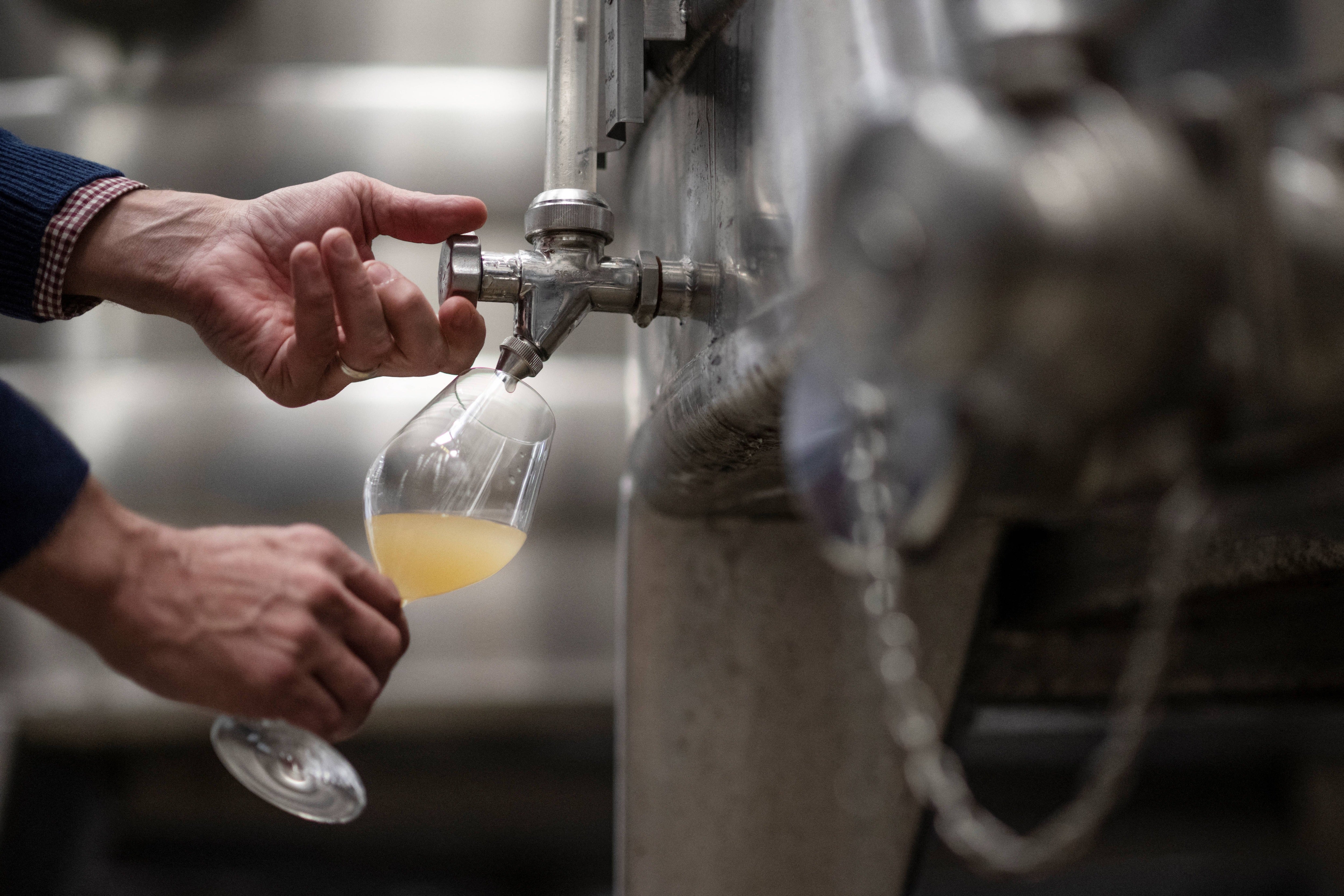 Gusbourne Estate's chief winemaker Charlie Holland extracts grape juice from a fermentation vessel
