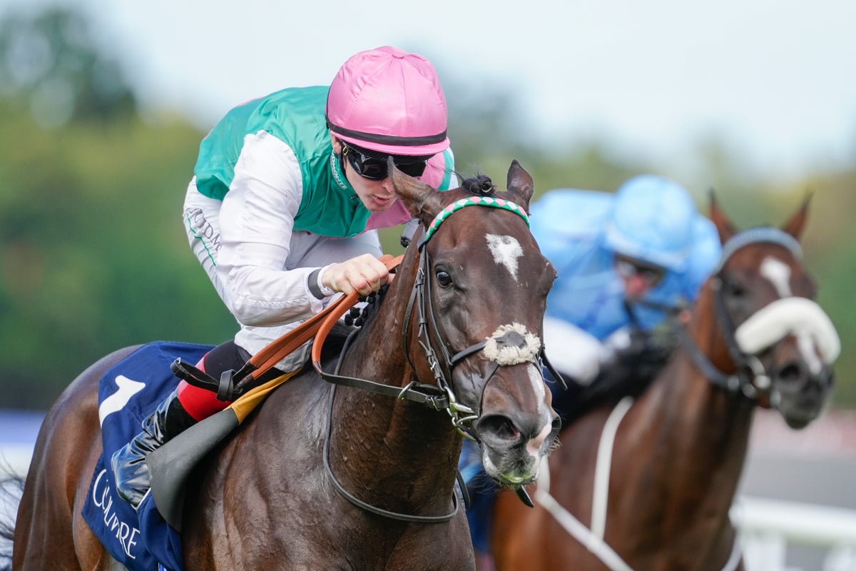 Saturday horse racing tips, best bets & odds for Newmarket