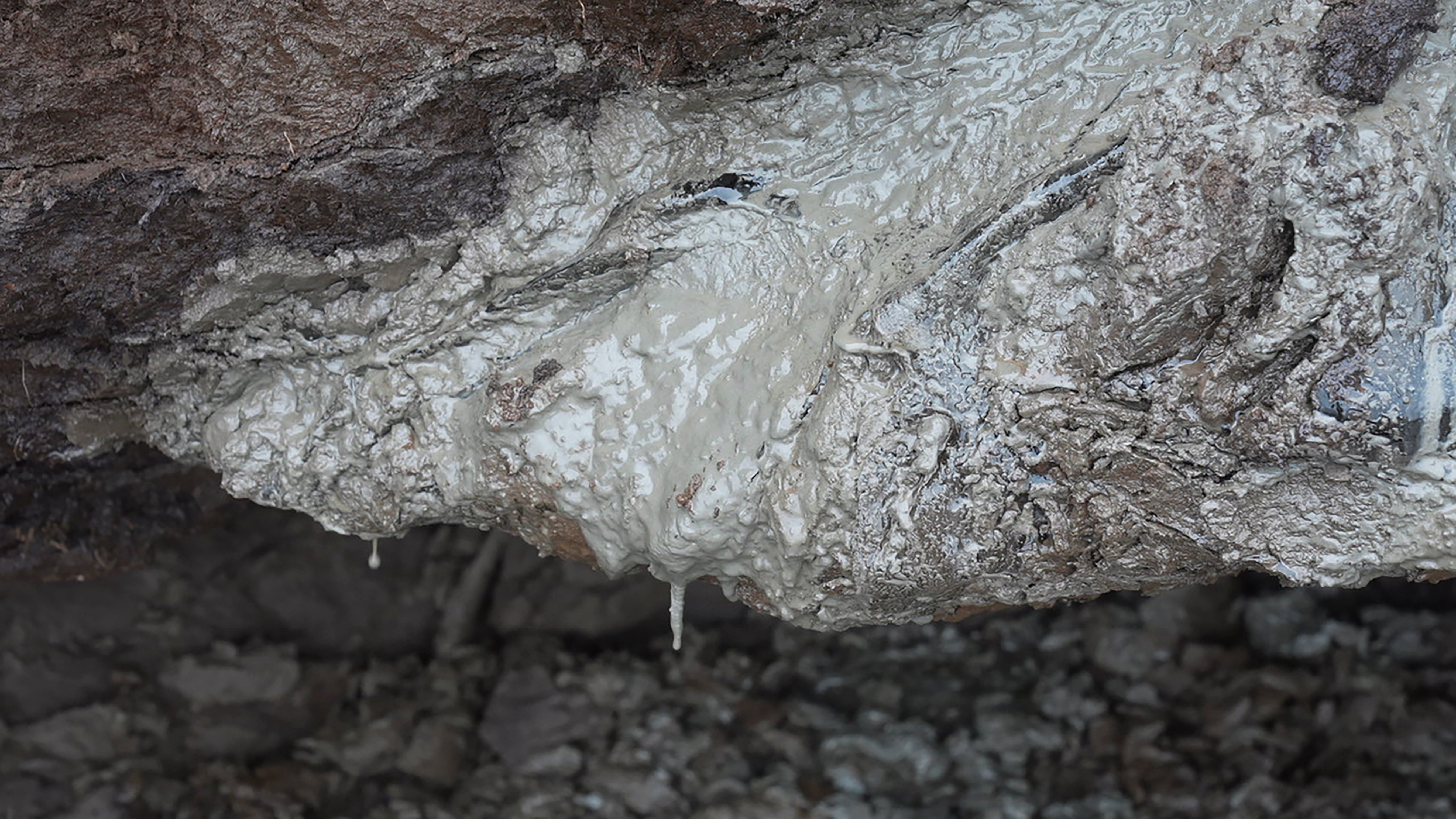 independent.co.uk - Seth Borenstein - Heat-trapping gas once frozen in Arctic ground is slowly leaking and warming the planet