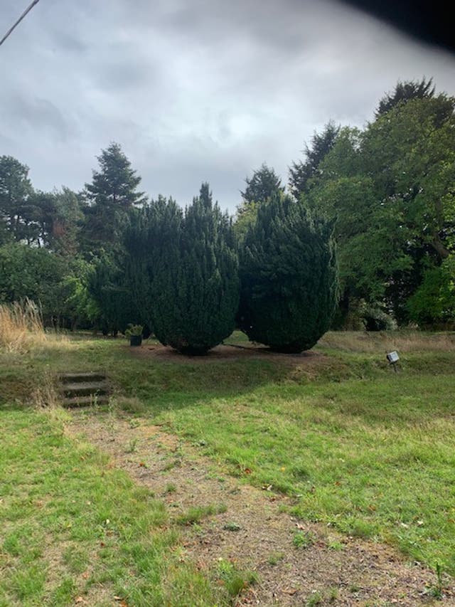 The garden today
