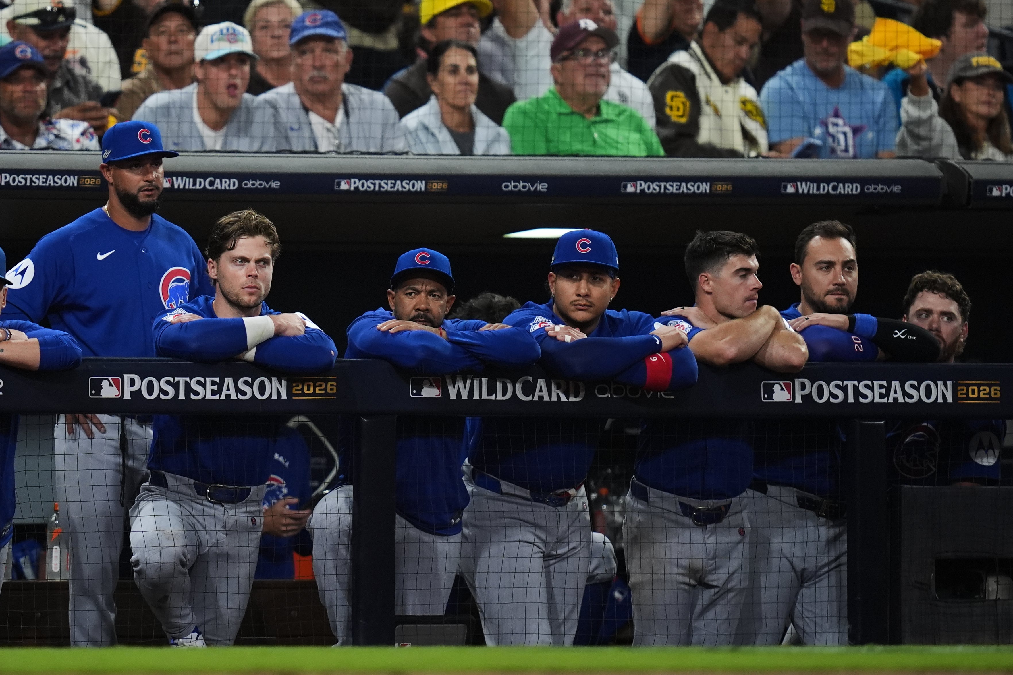 CACHORROS PADRES